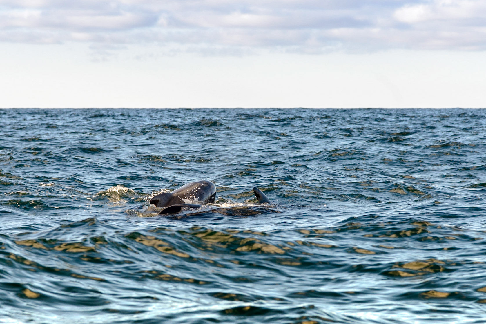 Photo by: Thilo Volberg (www.thiuda.com)