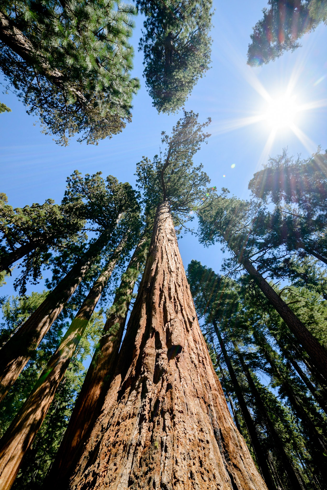 Photo by: Thilo Volberg (www.thiuda.com)