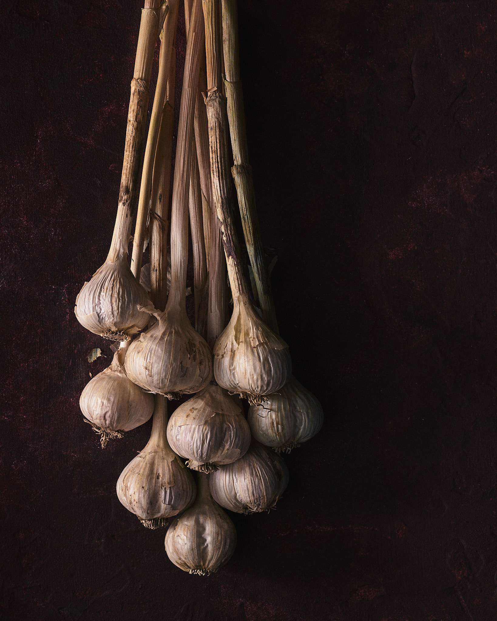 A food photography garlic bunch image on dark red background, made by Kata Endrodi, a food photographer in Montreal