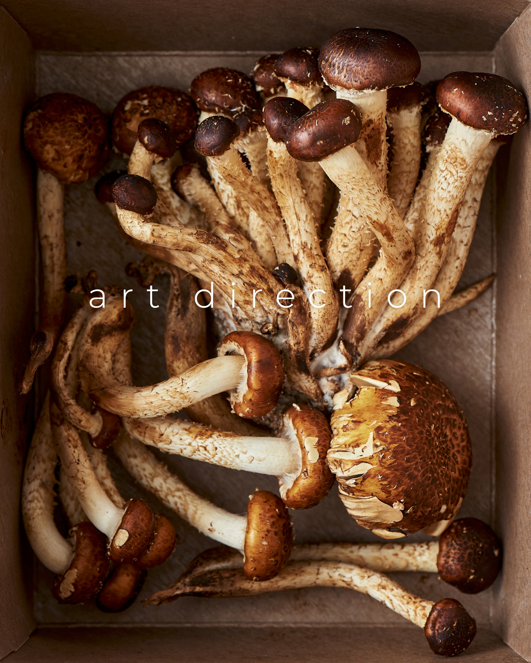 Creative art direction for food photography featuring a portrait of chestnut mushrooms in a neutral color palette, with the cardboard box serving as a minimalist, textured background.