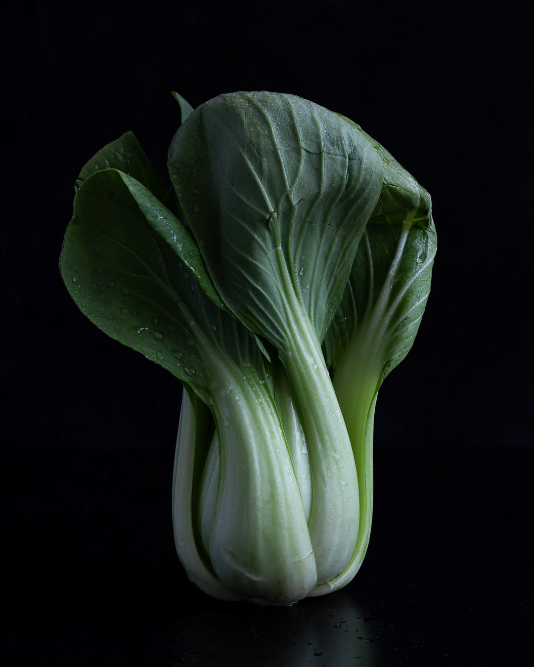 A food photography baby bok choy portrait, made by Kata Endrodi, a food and product photographer in Montreal