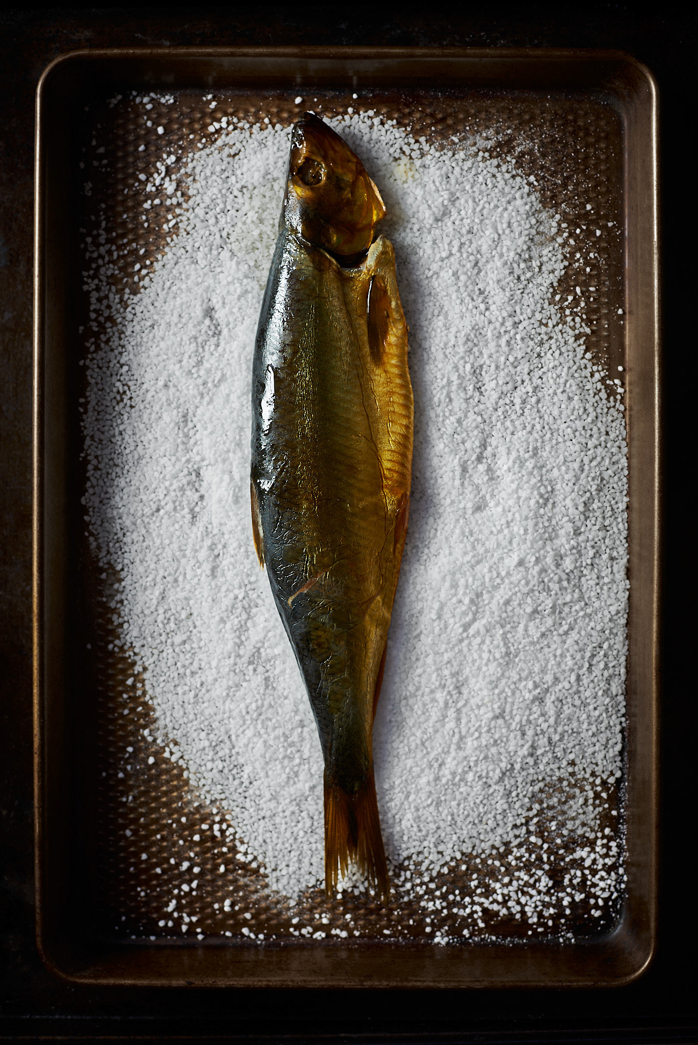 A food photography whole smoked fish image on salt bed, made by Kata Endrodi, a food photographer in Montreal