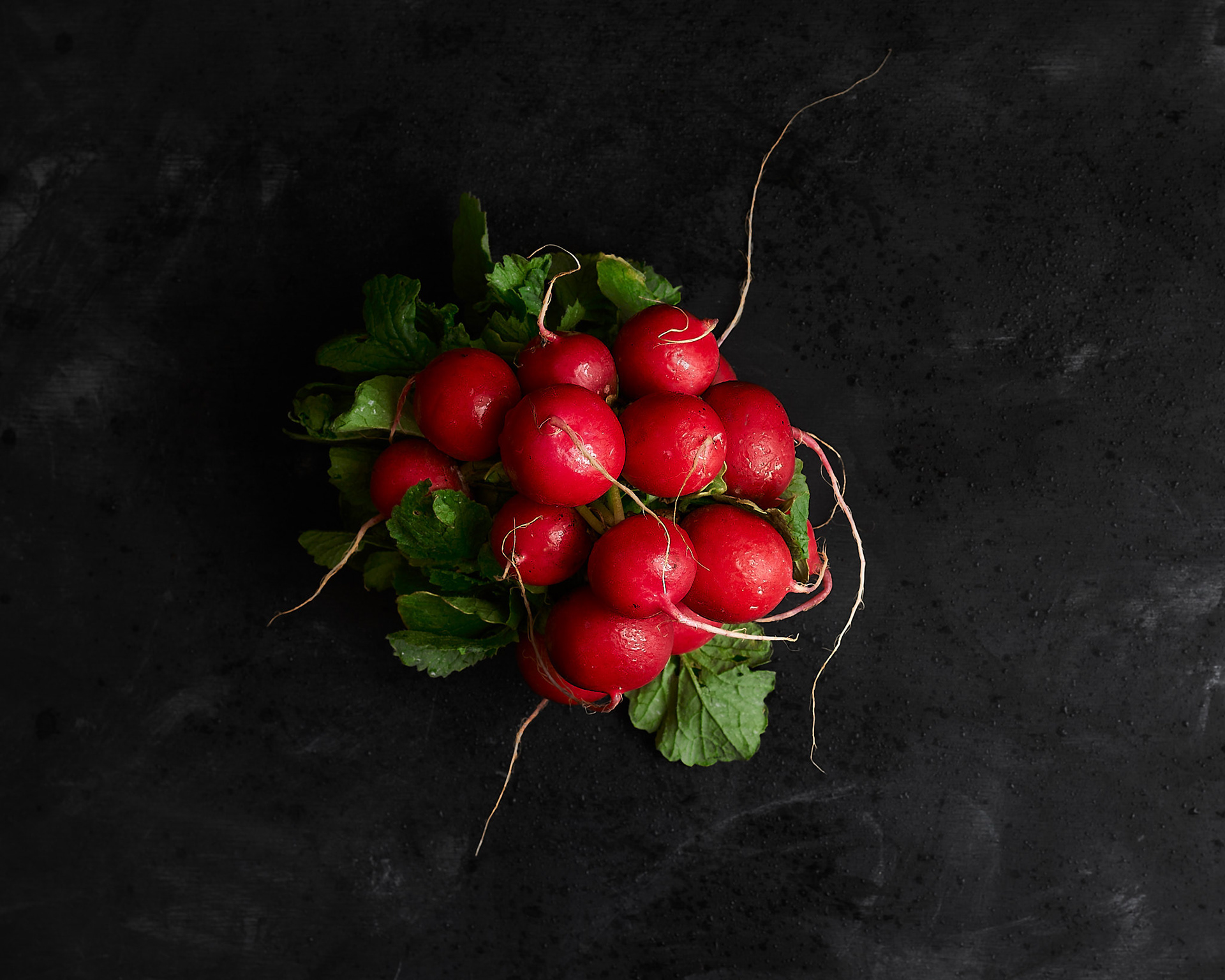 A food photography bunch of radishes, made by Kata Endrodi, a food photographer in Montreal