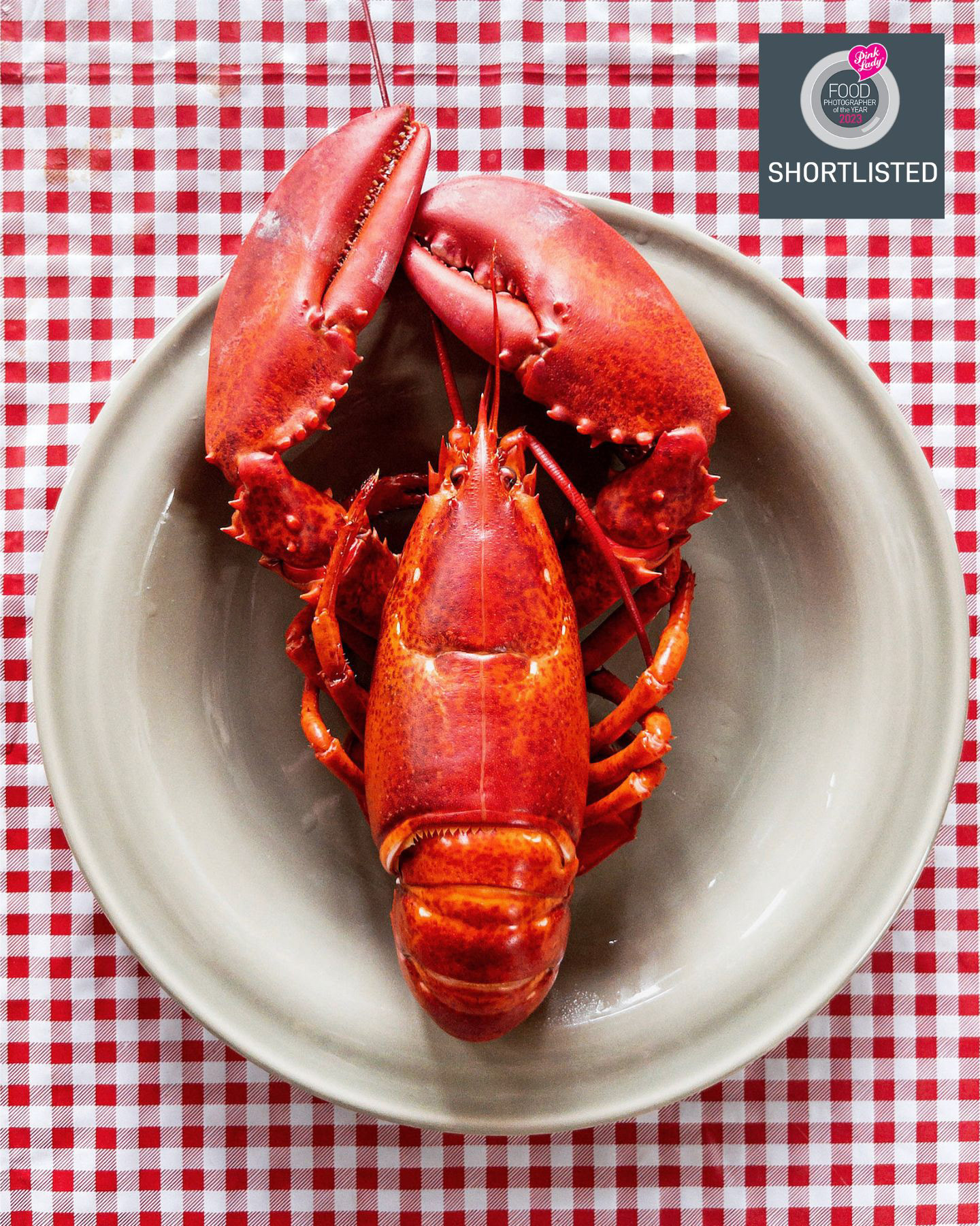 A food photography red lobster on plate with red white checkered vinyl tablecloth, made by Kata Endrodi, a food photographer in Montreal