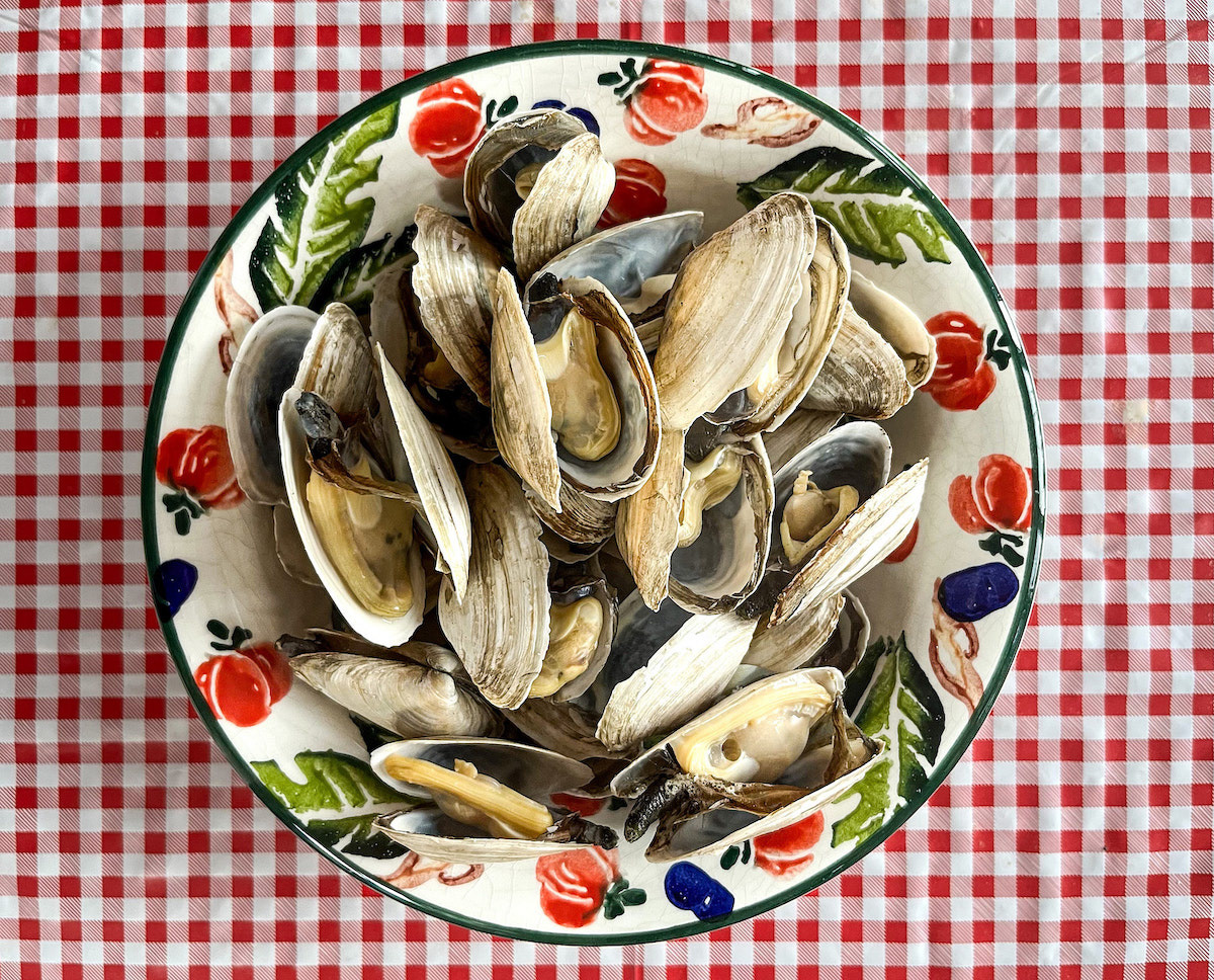A food photography bowl of Maine steamers image on a white and red checkered vinyl tablecloth, made by Kata Endrodi, a food photographer in Montreal