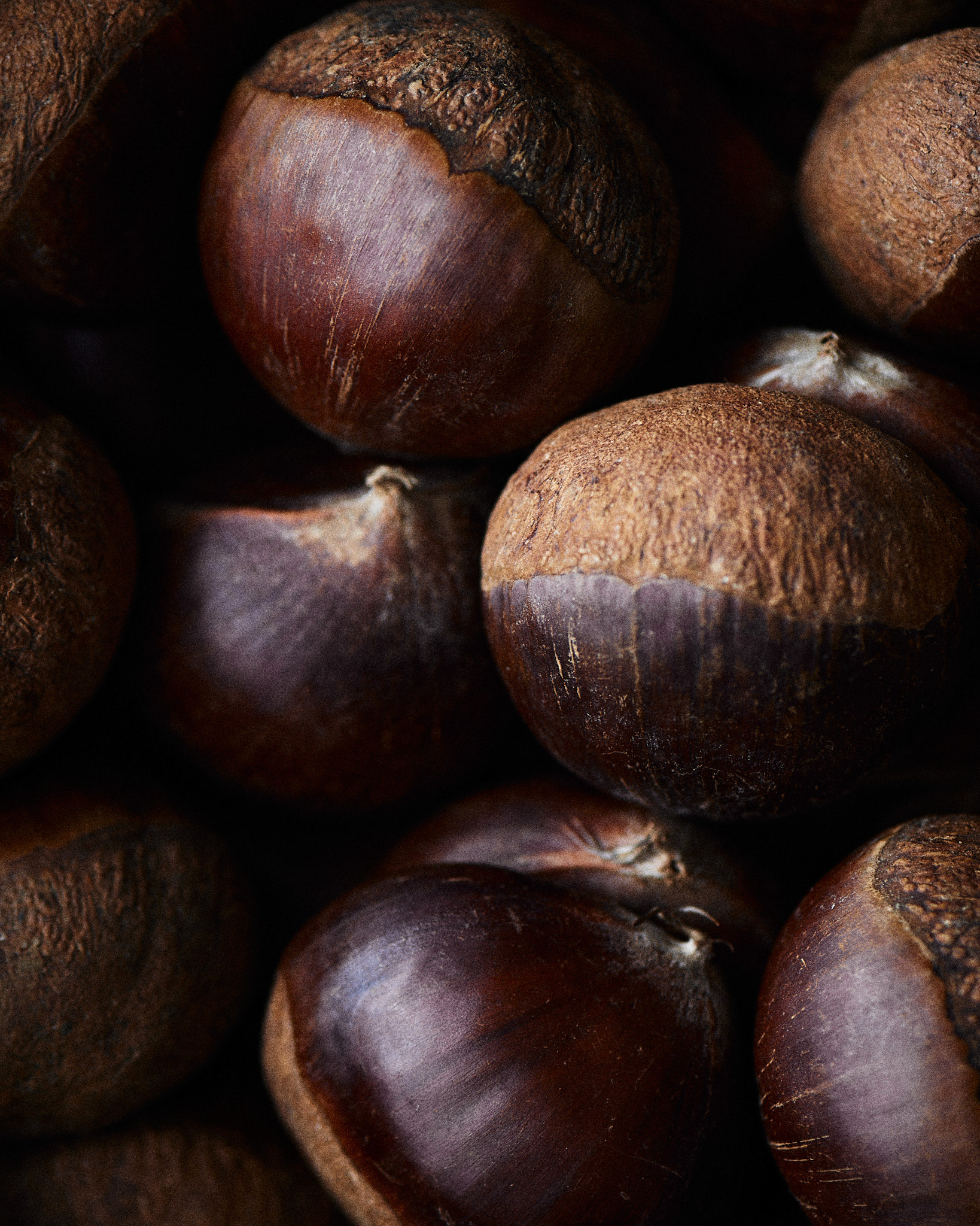 Kata Endrodi Montreal food and product photographer, food photography chestnut closeup featuring the texture of the chestnut shells.
