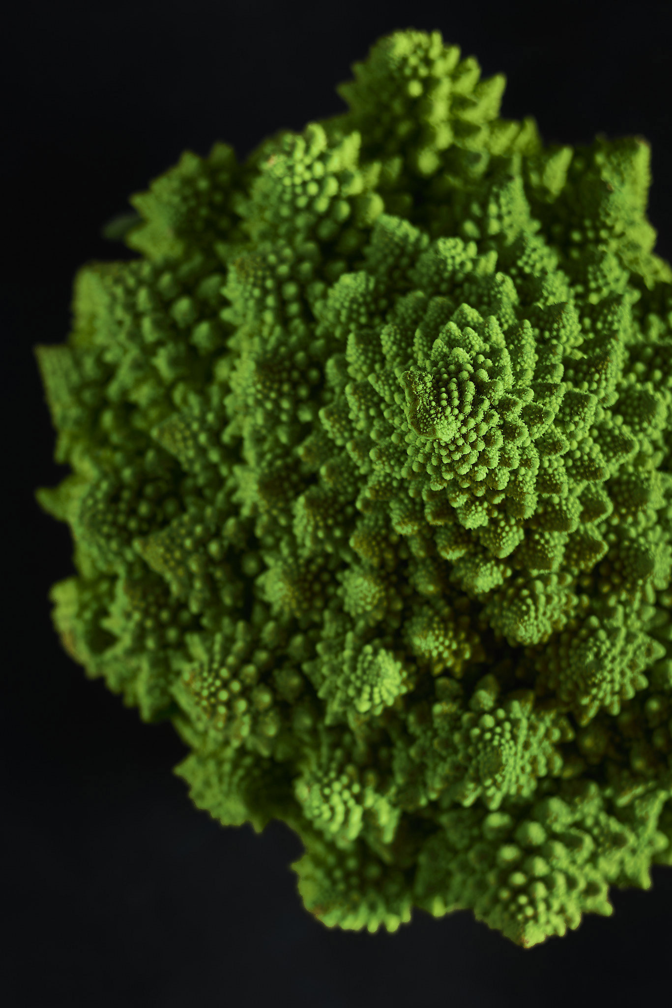 Kata Endrodi Montreal food and product photographer, a food photography romanesco portrait