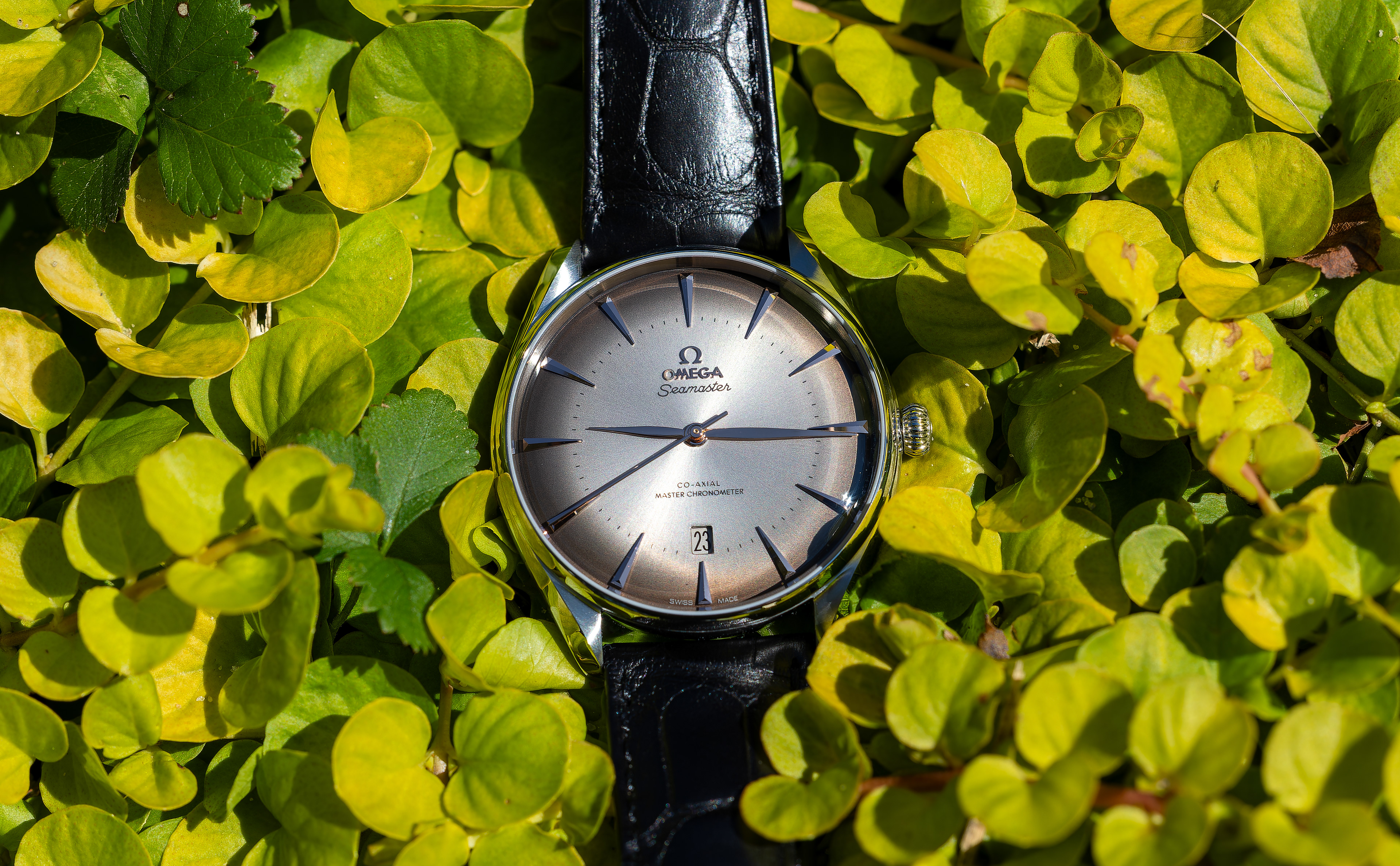 Seamaster Boutique Edition - Switzerland