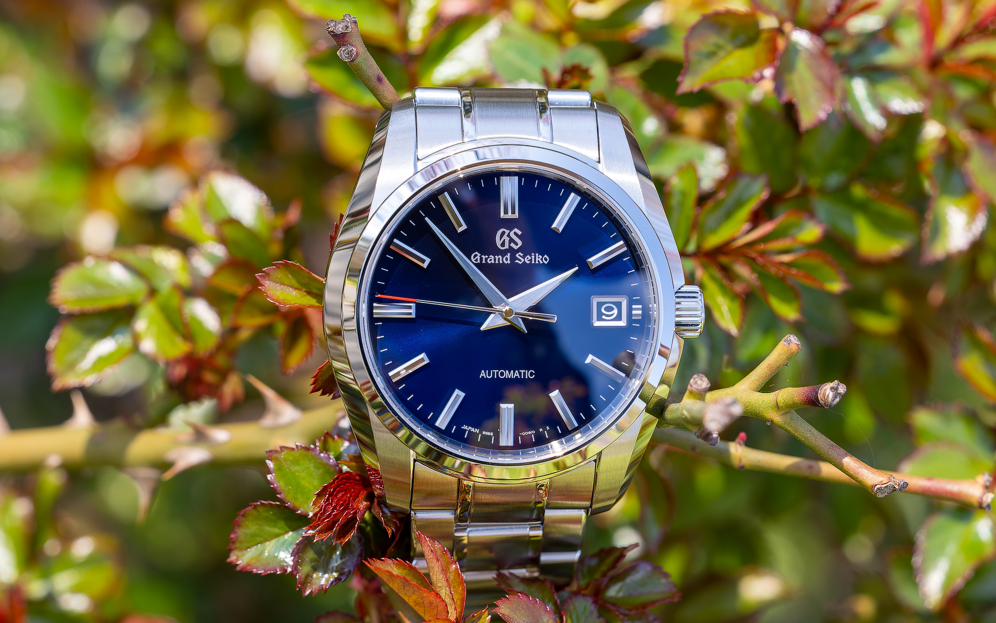 Grand Seiko 60th Anniversary Limited Edition SBGR321