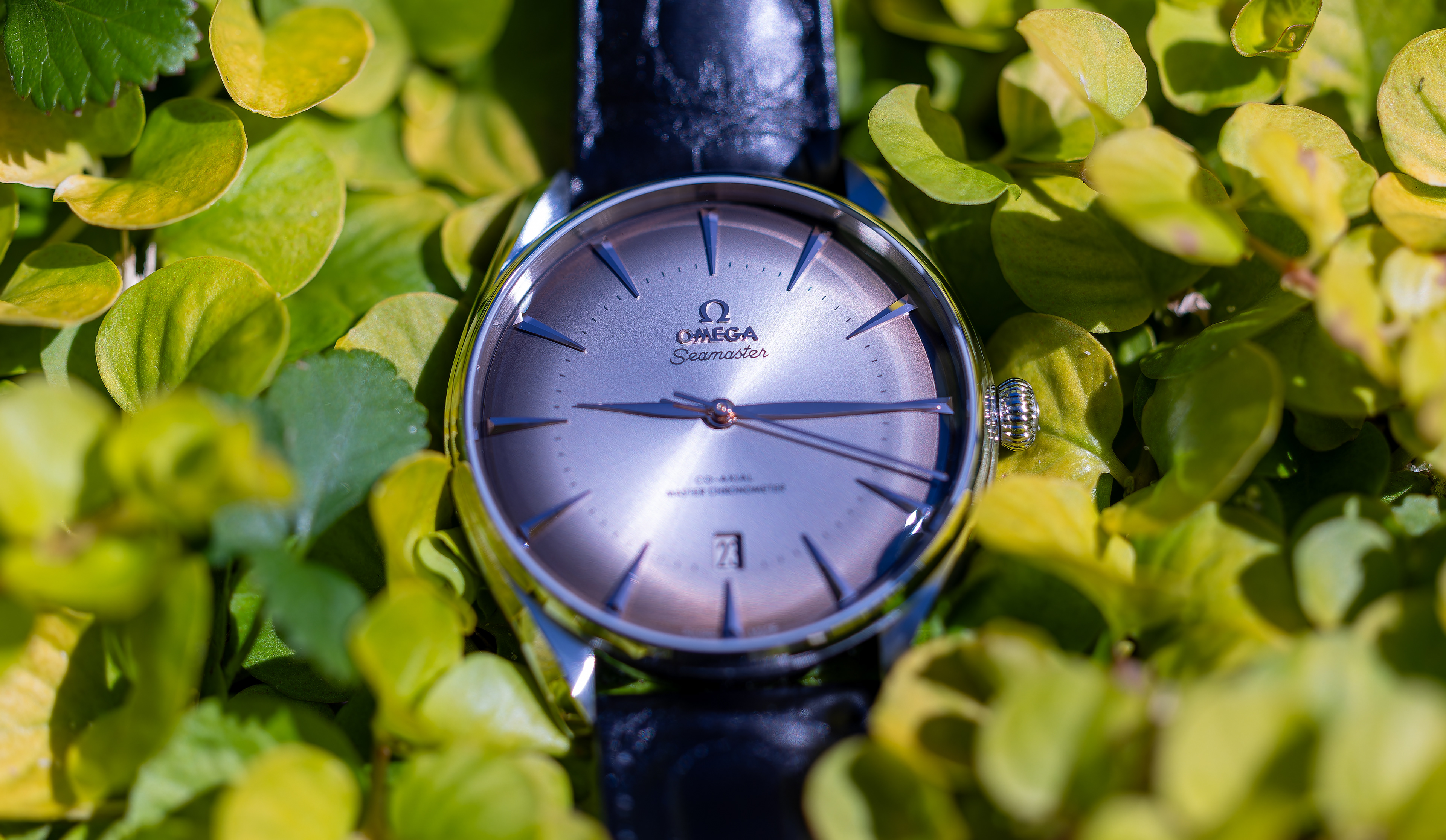 Seamaster Boutique Edition - Switzerland