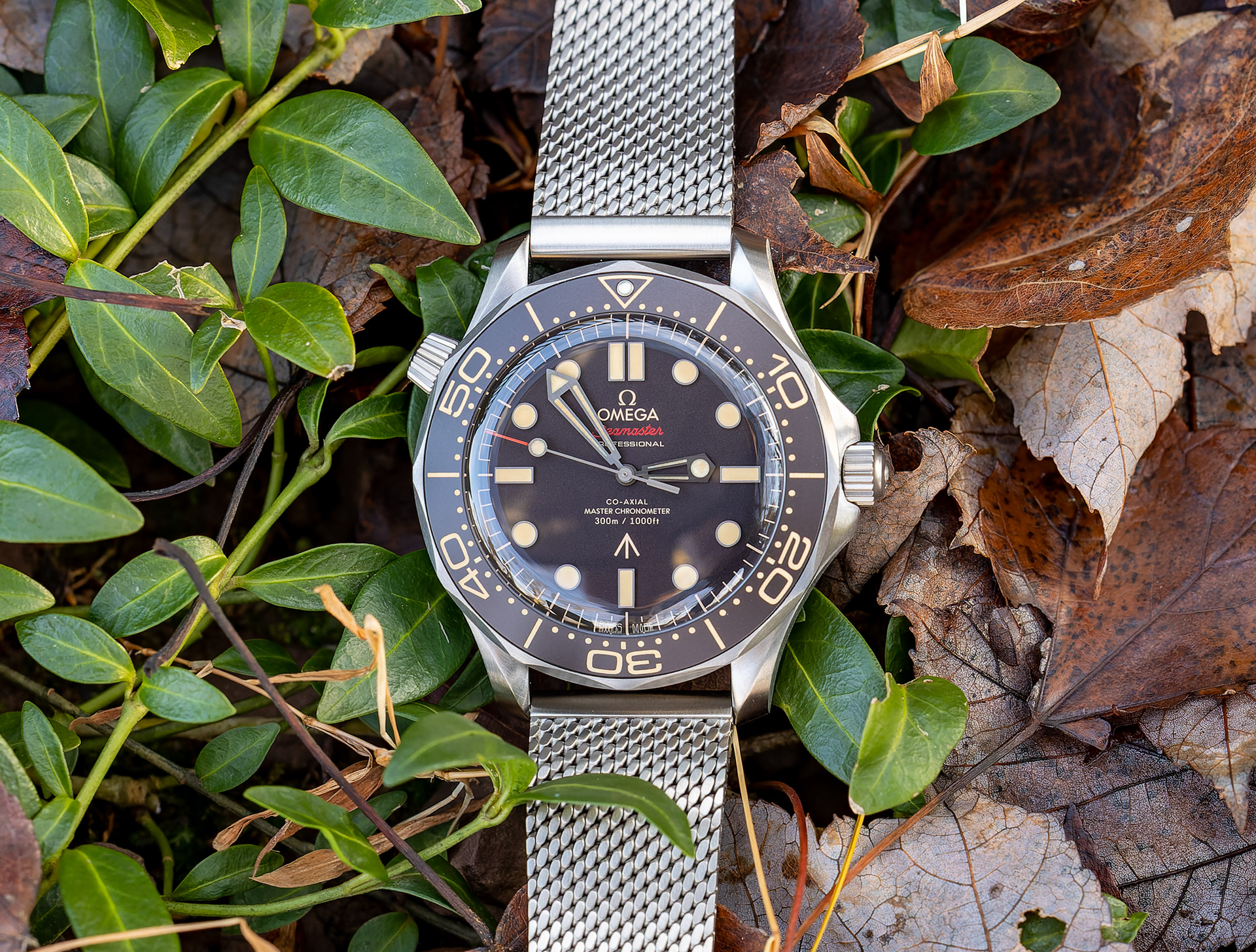 Omega Seamaster Diver 300M 007 Edition No Time To Die
