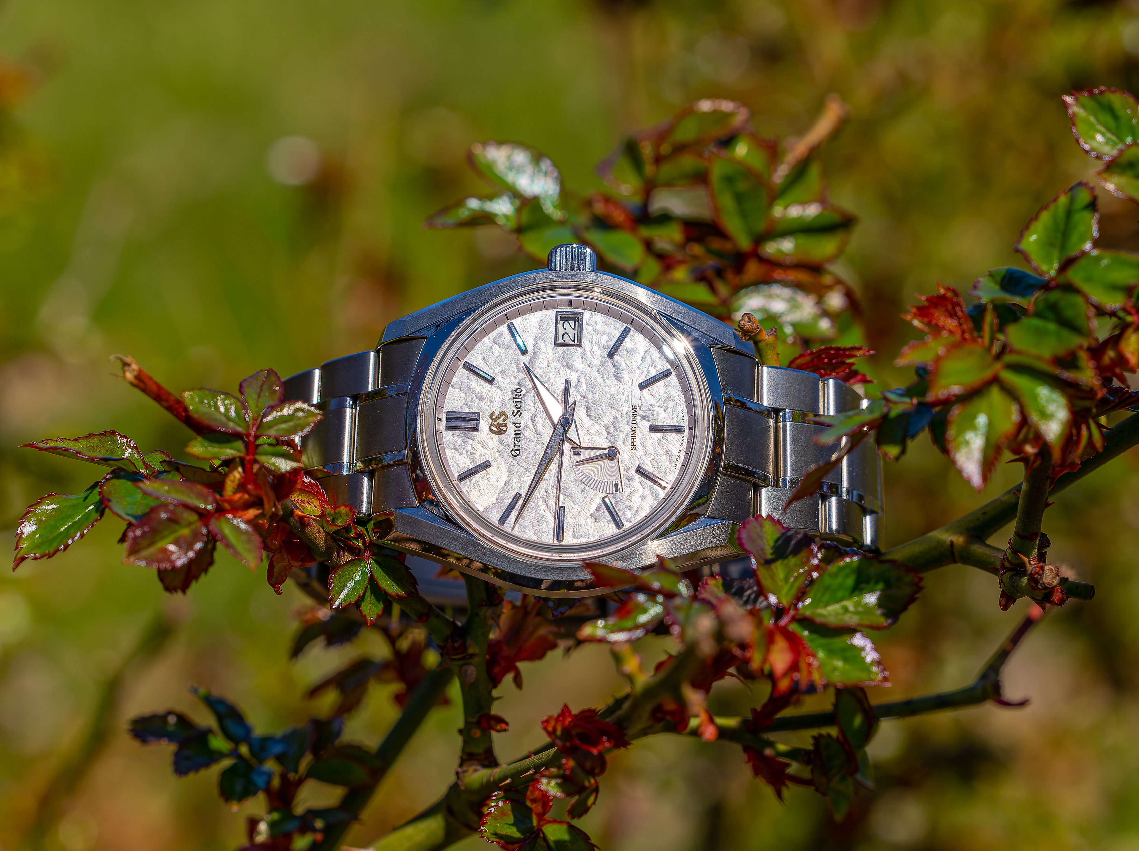 Grand Seiko Shunbun SBGA413