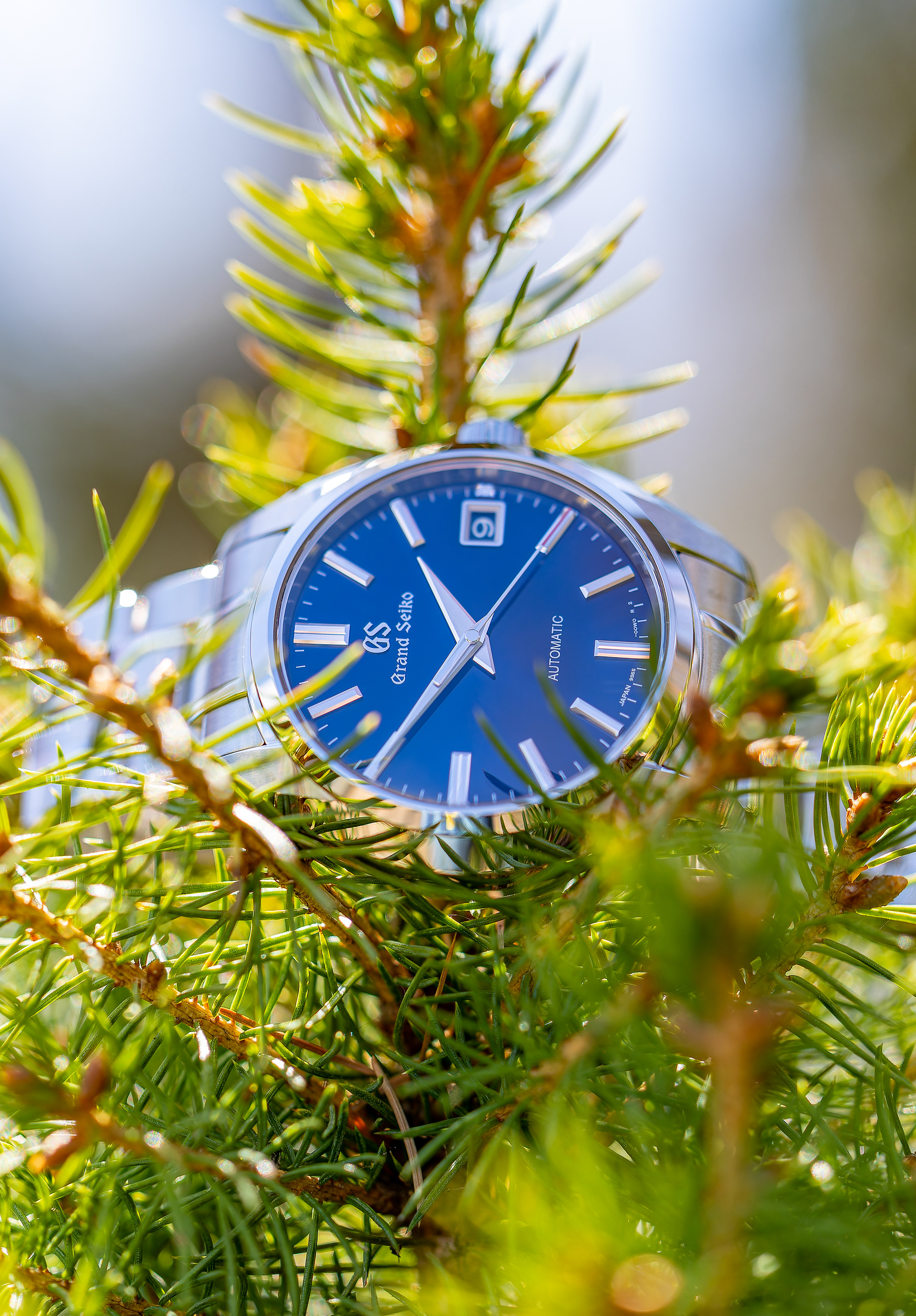 Grand Seiko 60th Anniversary Limited Edition SBGR321