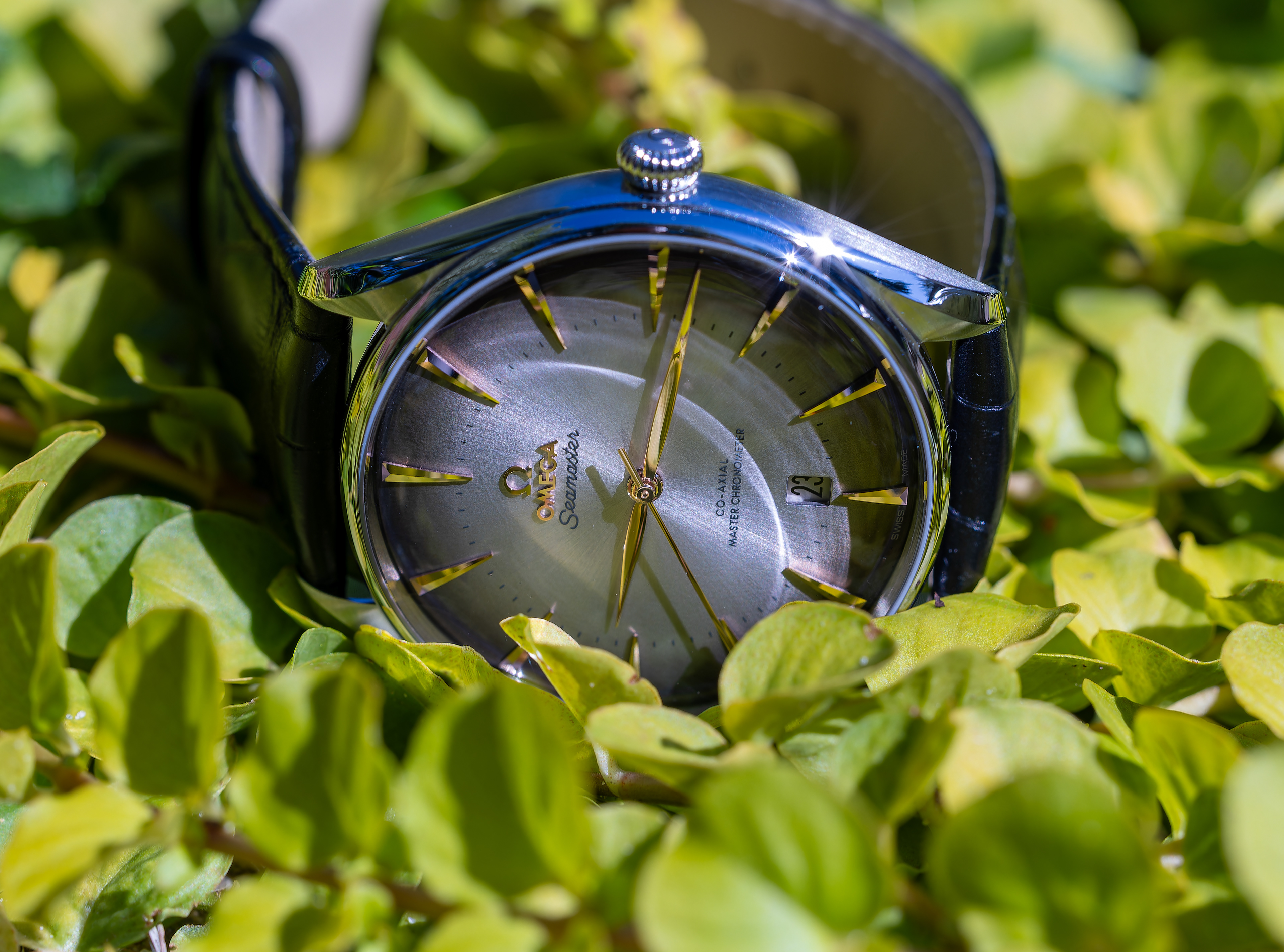 Seamaster Boutique Edition - Switzerland