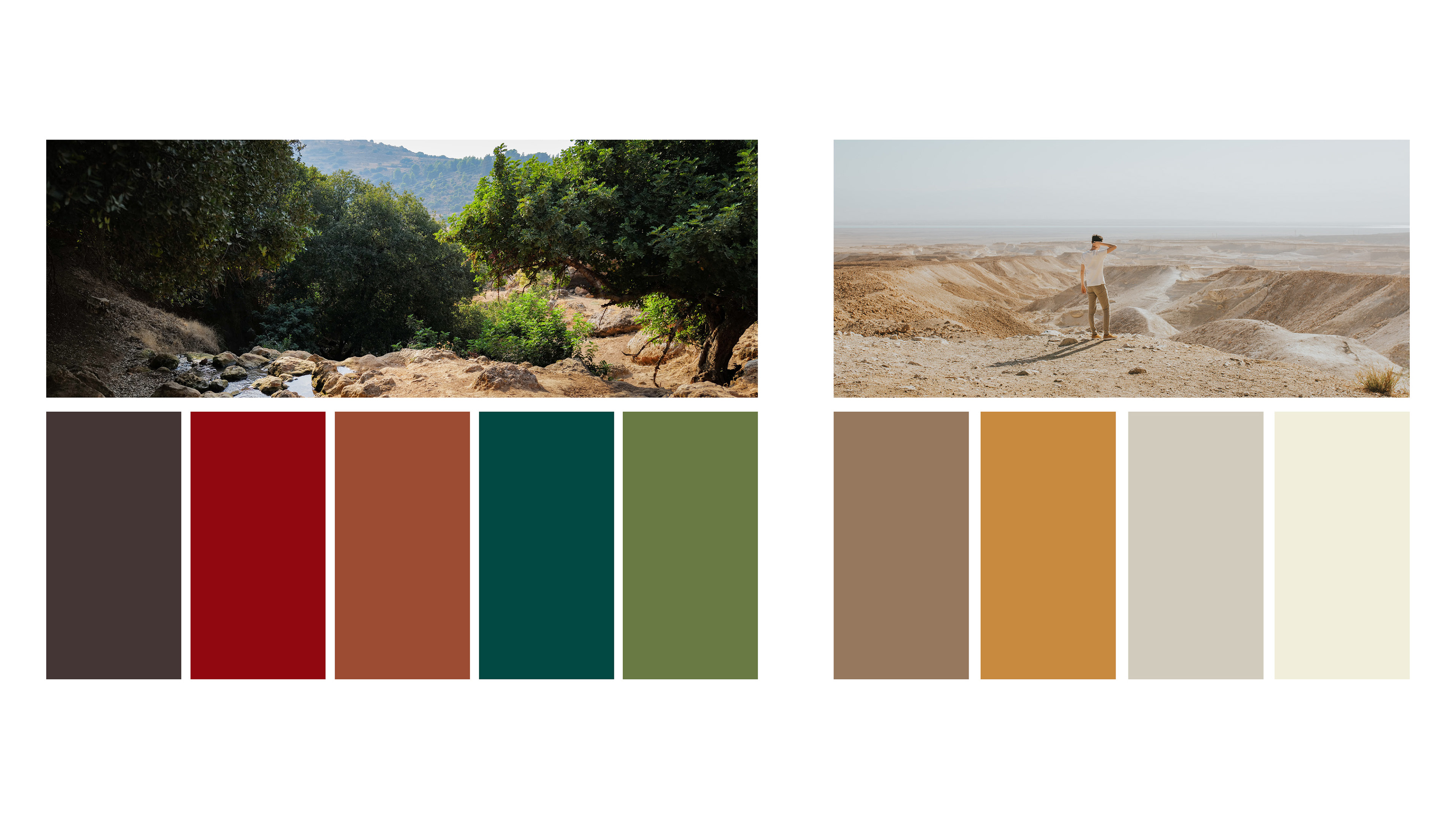 Overland color pallet
