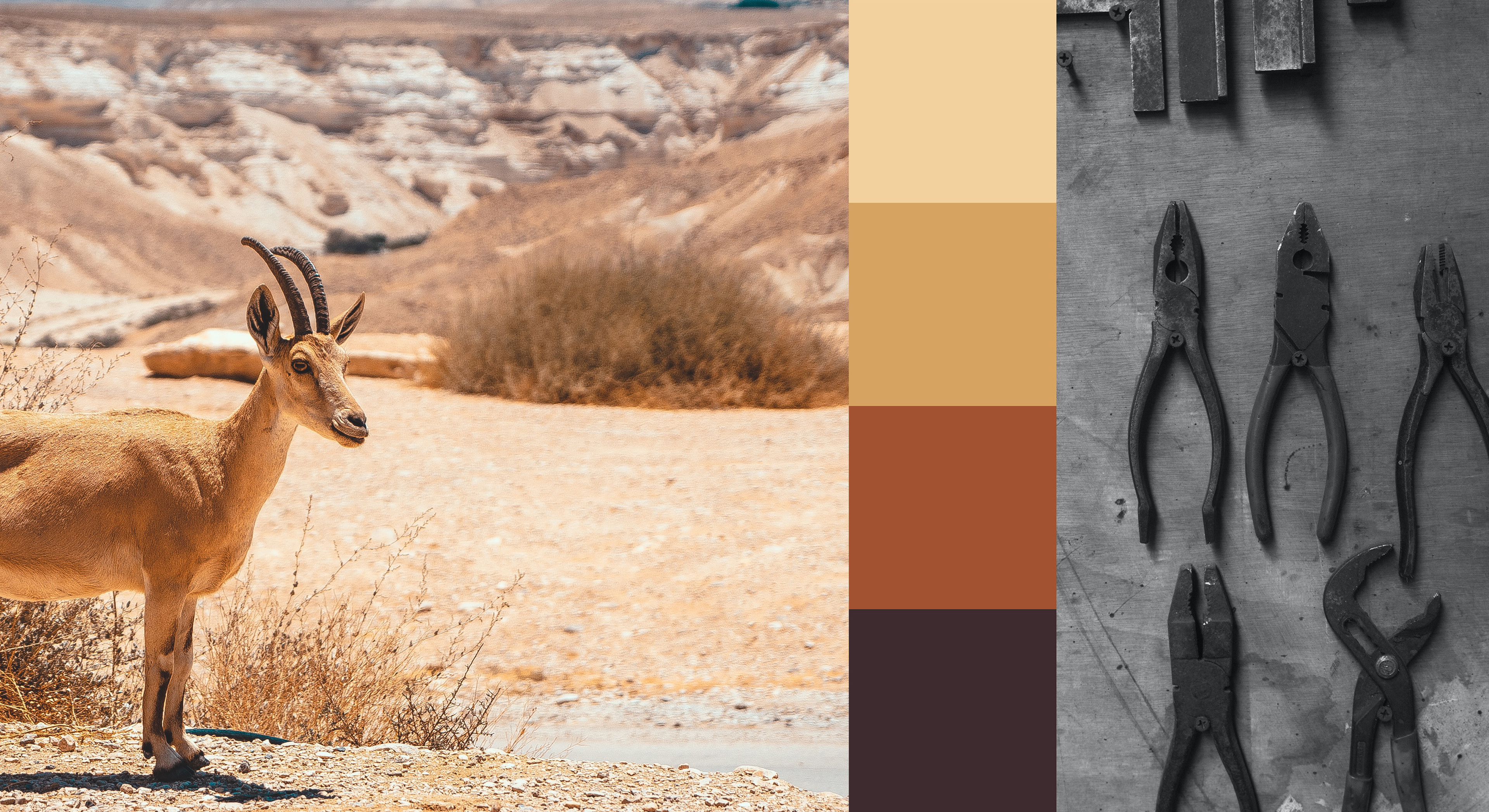 90 desert garage color palette