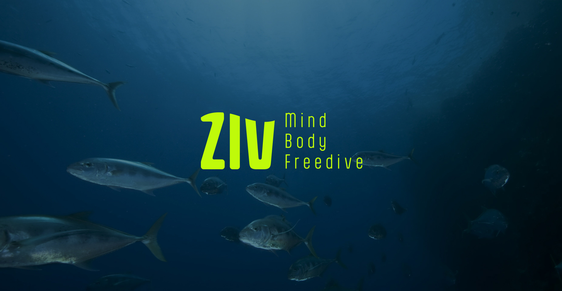 Ziv Freediving club logo