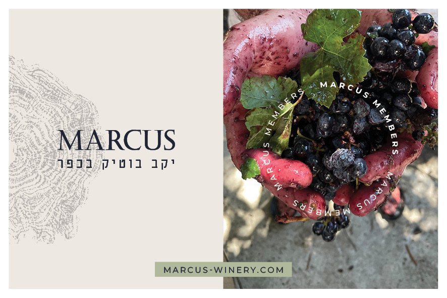 Marcus Winery postcards