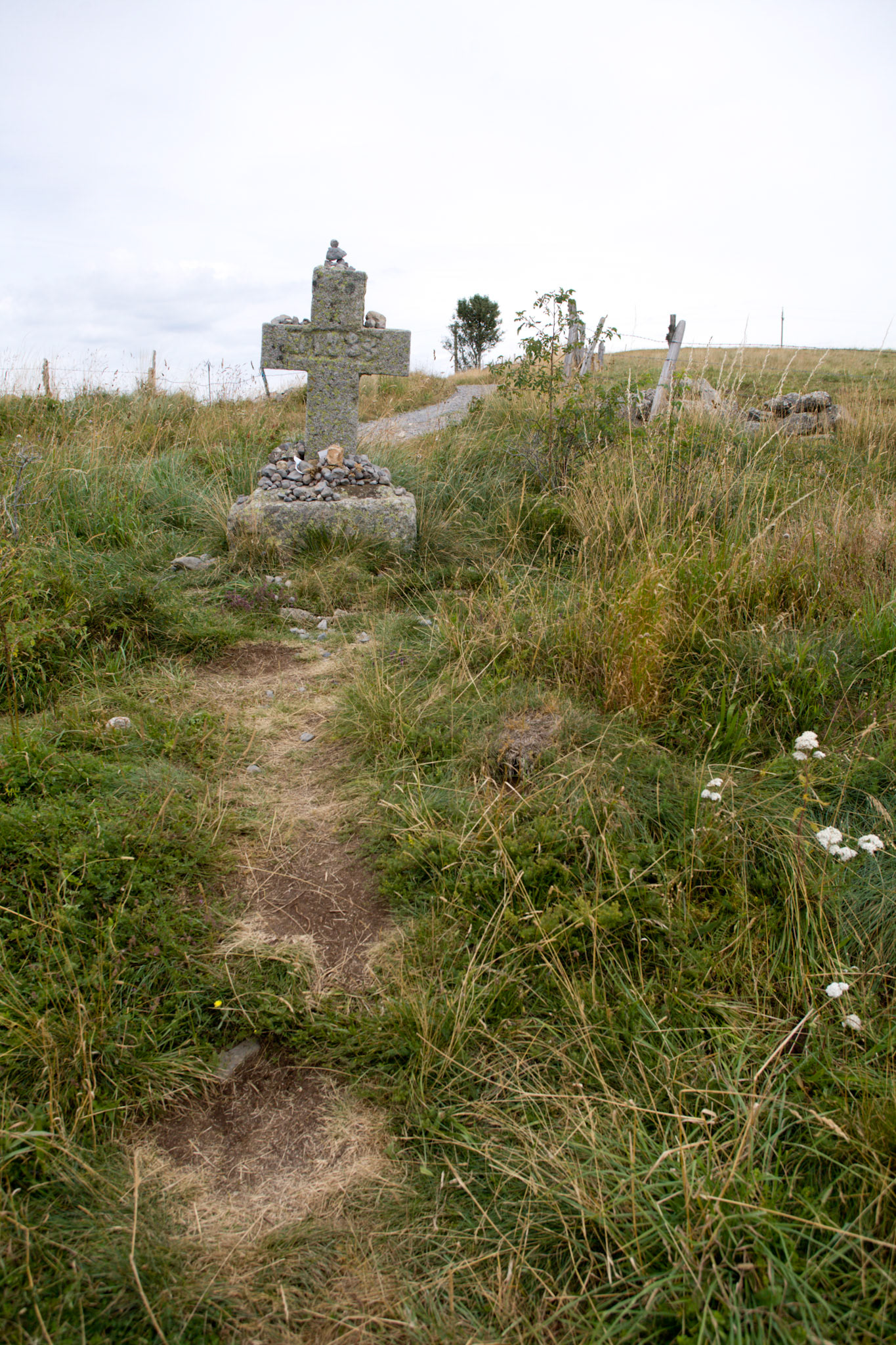 Chemin de Saint Jacques