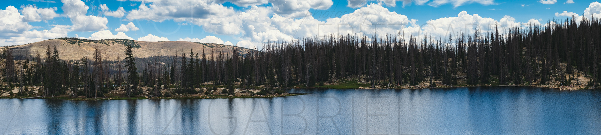 Uintah-Cache-Wasatch National Forest, Utah