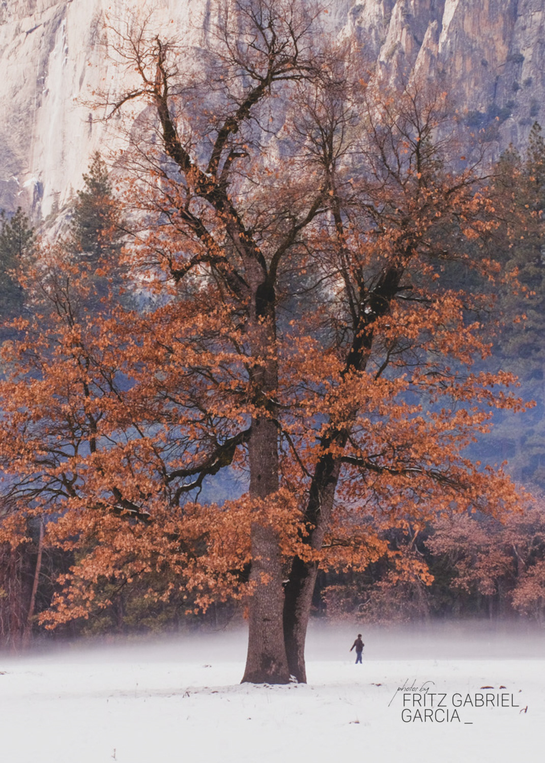 Yosemite National Park, CA