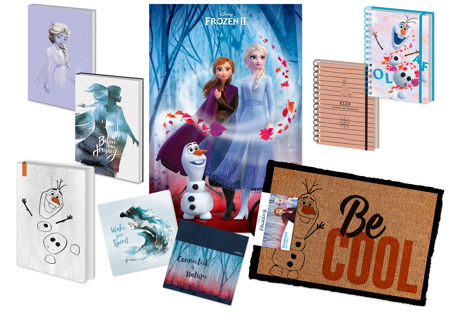 Licensed Merch - Frozen