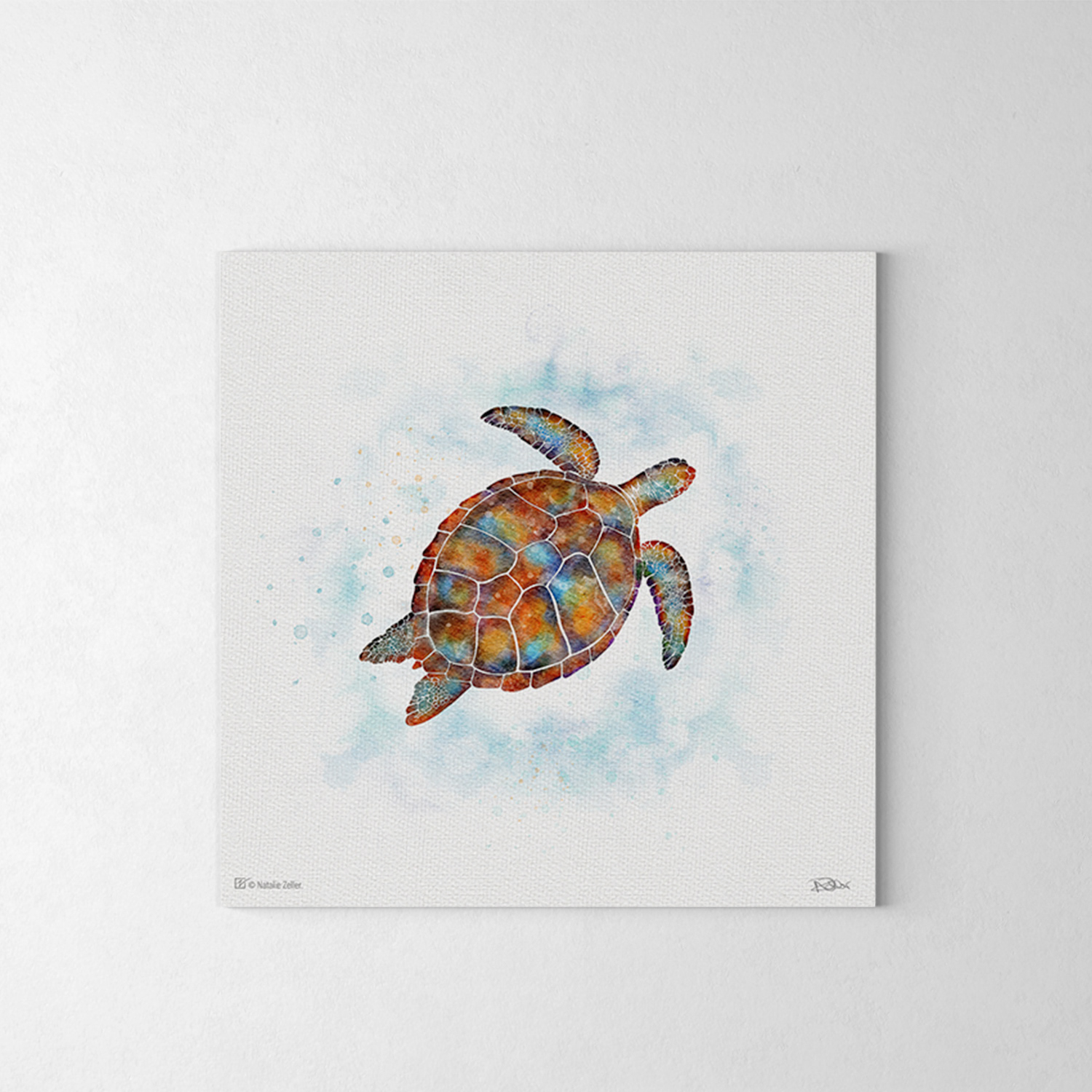 Watercolour Turtle