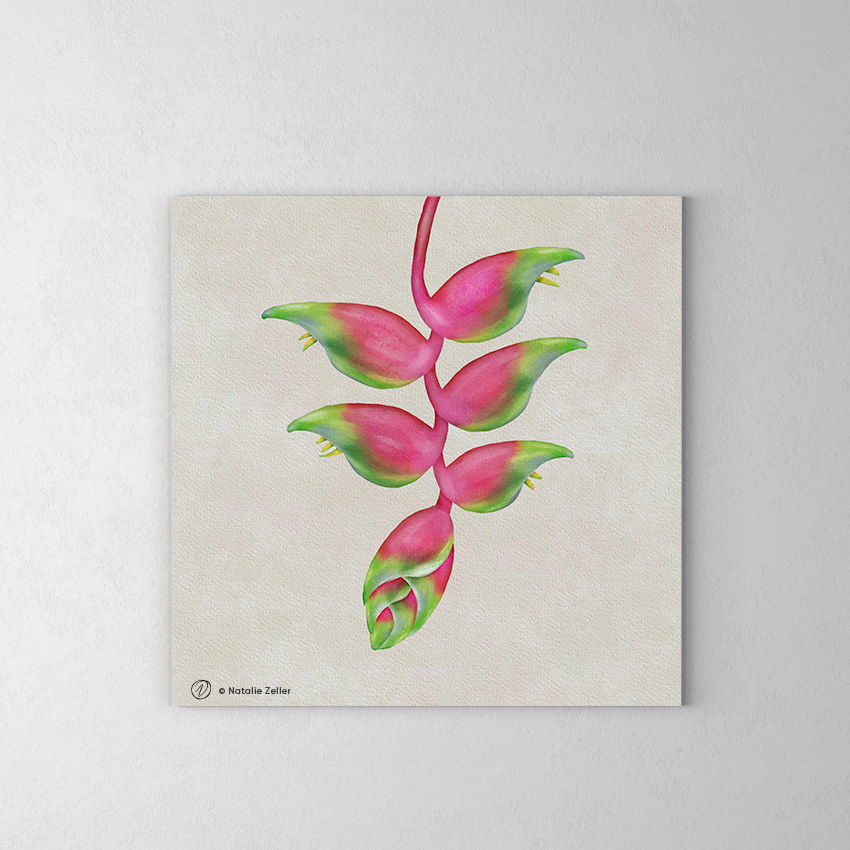 Watercolor Heliconia Tropical flower