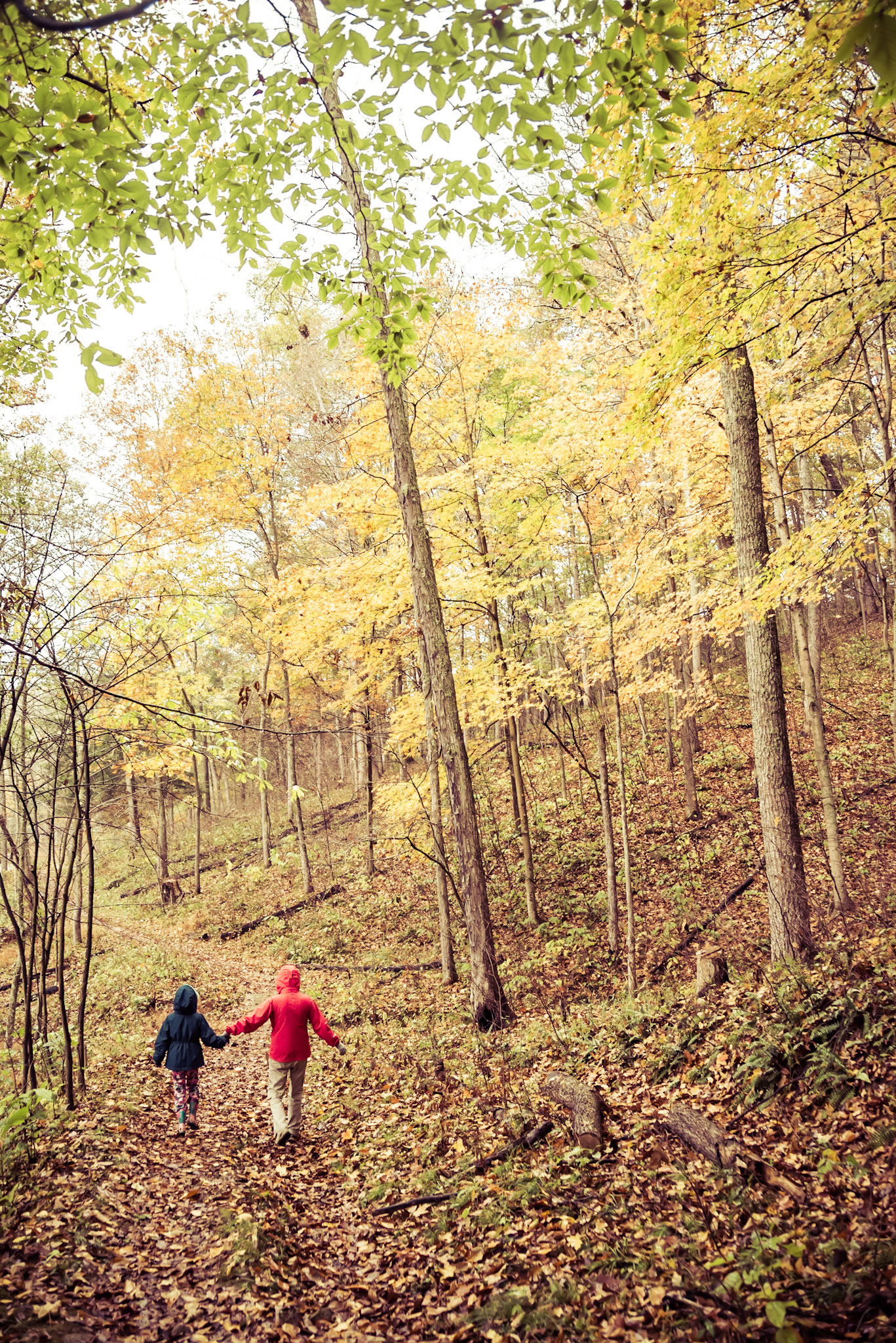 Hocking Hills &amp; Lake Hope -- October, 2013