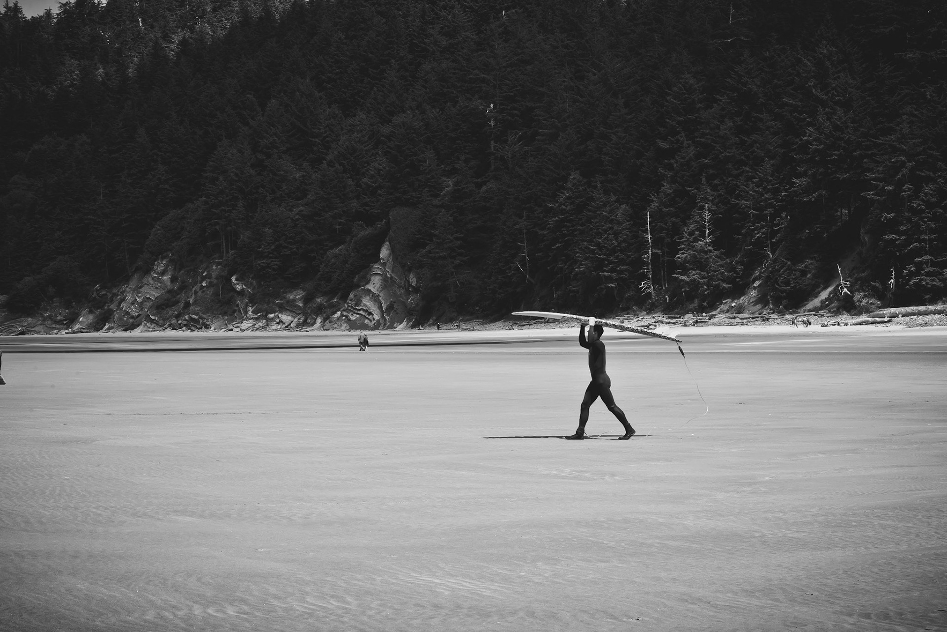Oswald West, Oregon Coast