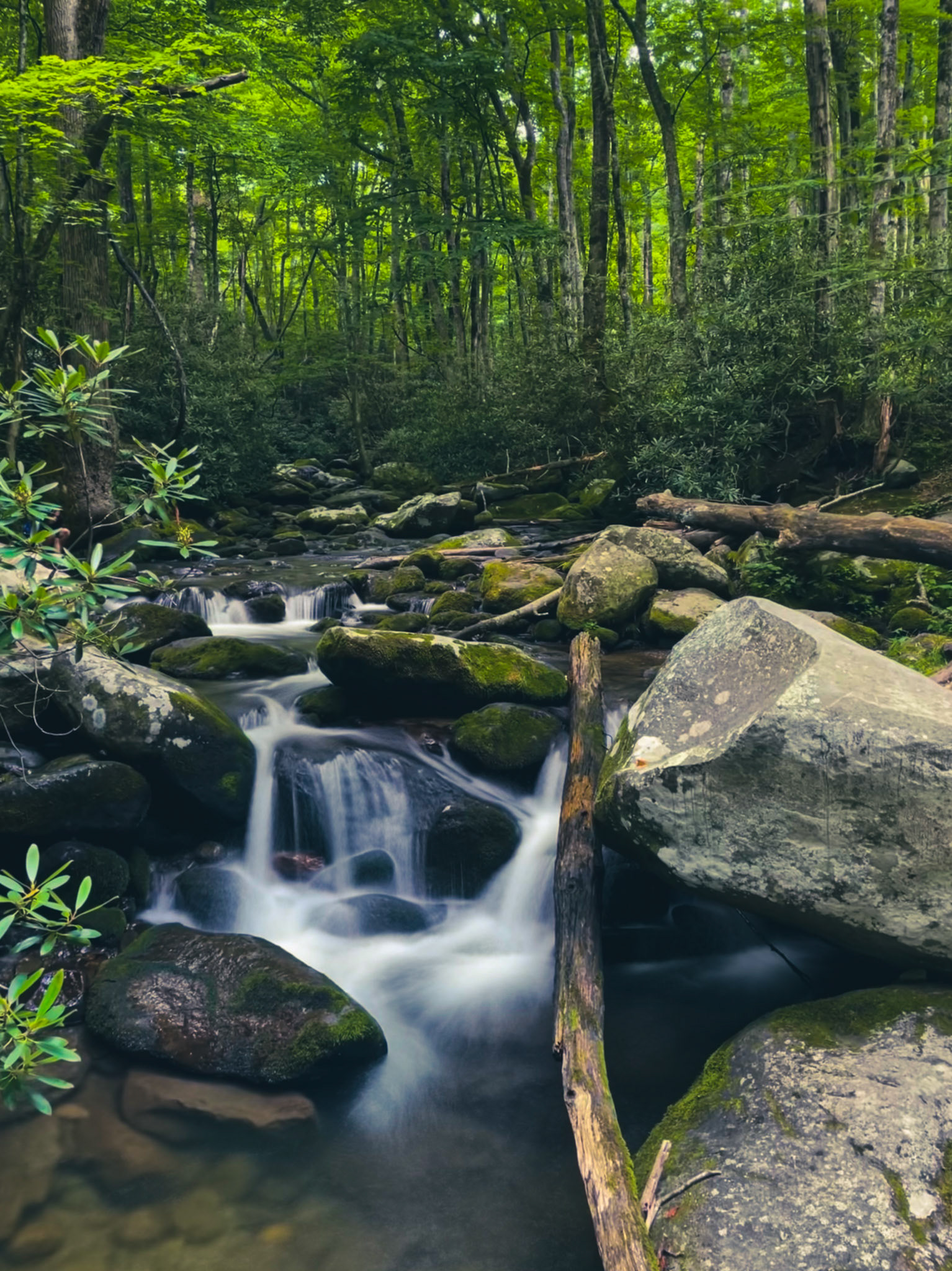 Great Smokey Mountains National Park