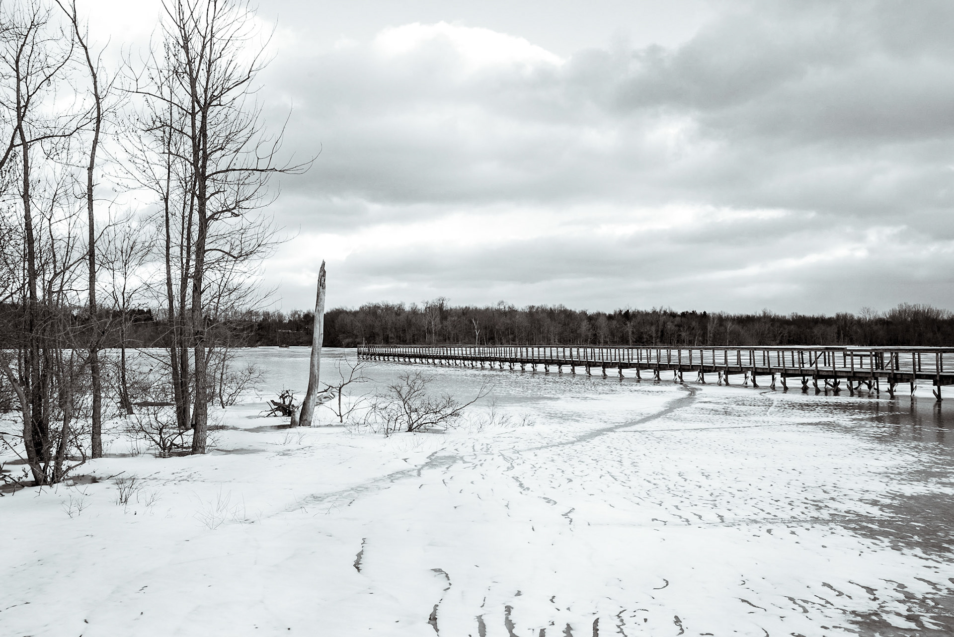 Winter at Hoover Mudflats // 3