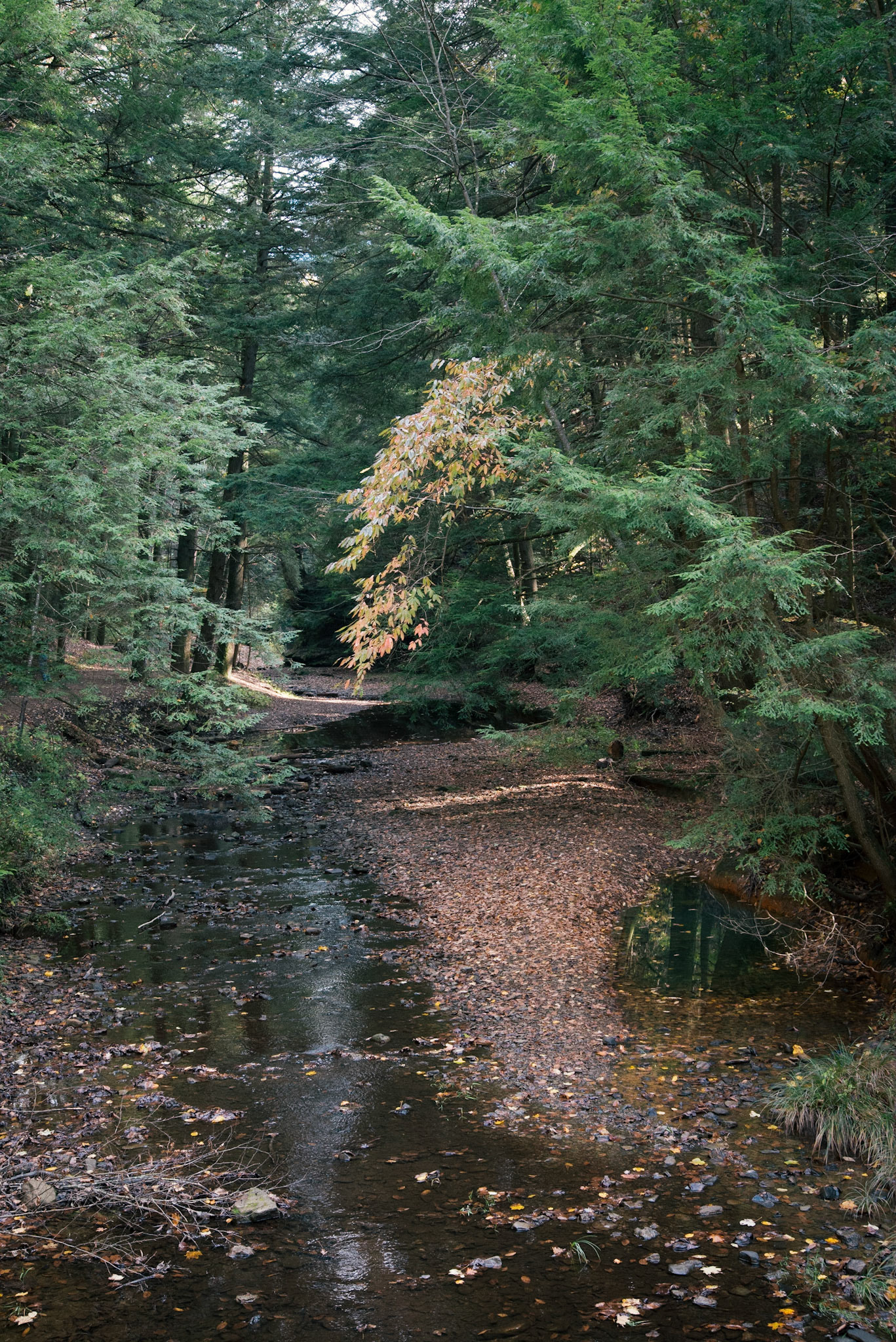 Hocking Hills &amp; Lake Hope -- October, 2013