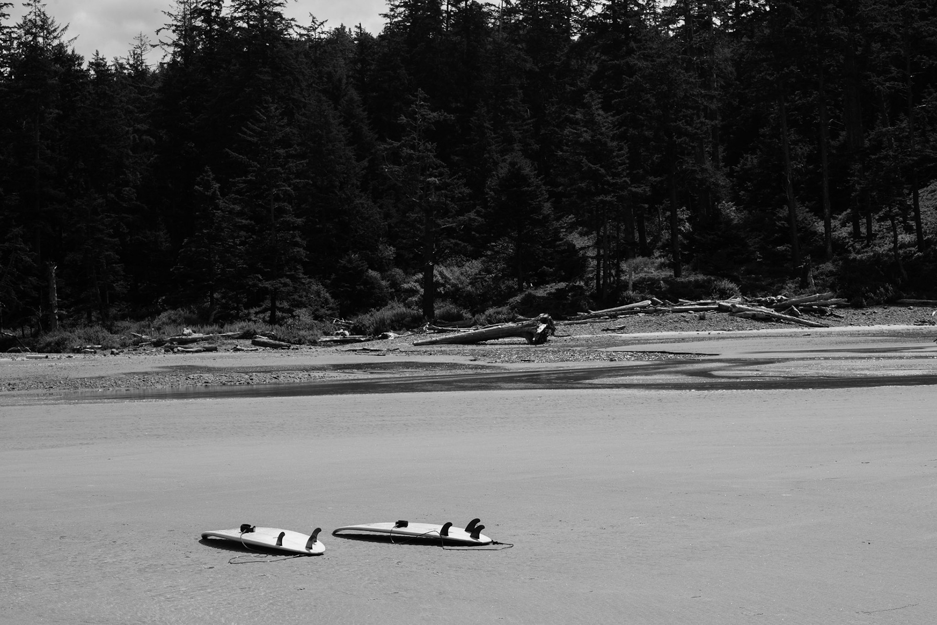 Oswald West, Oregon Coast