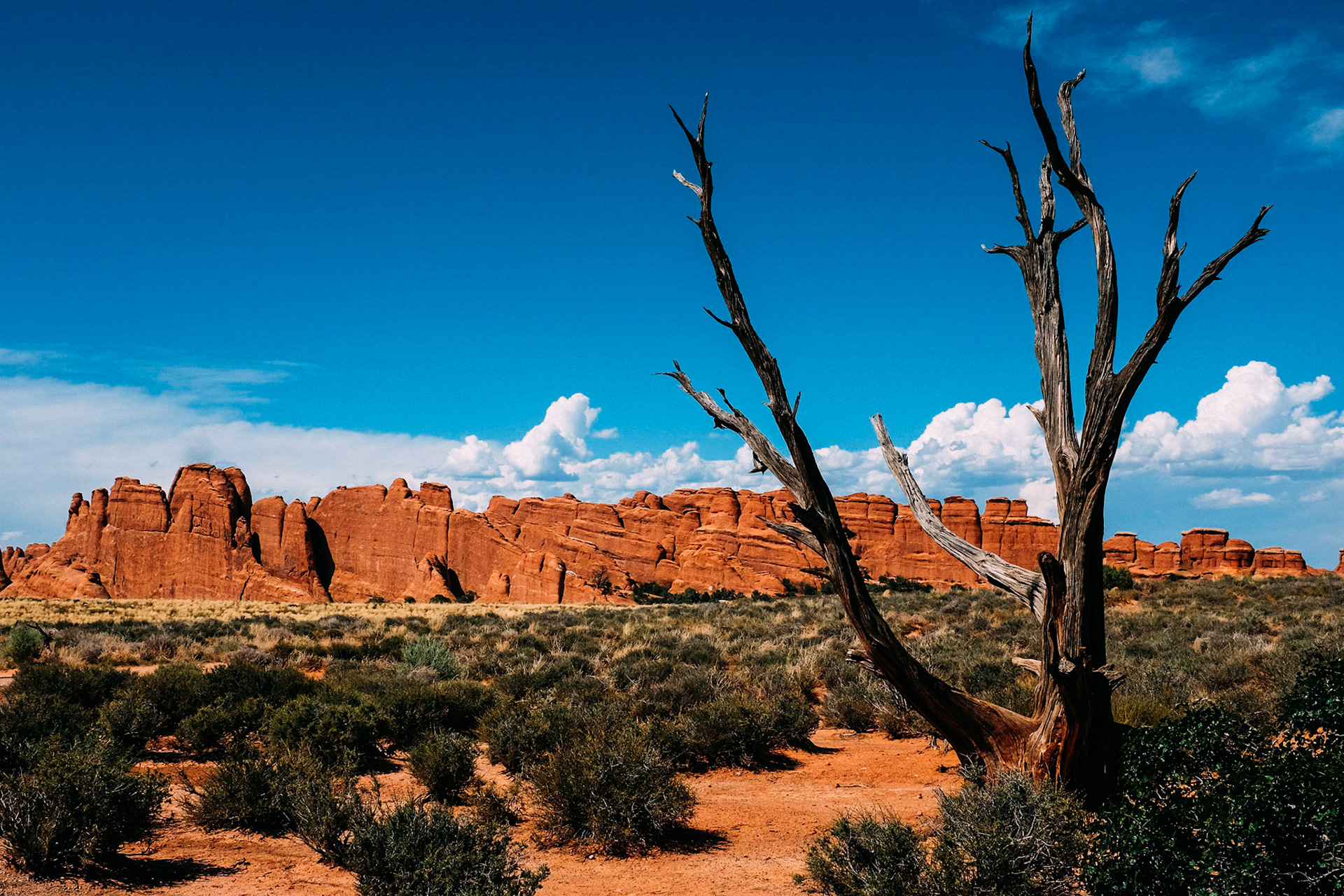 Fins, Arches National Park