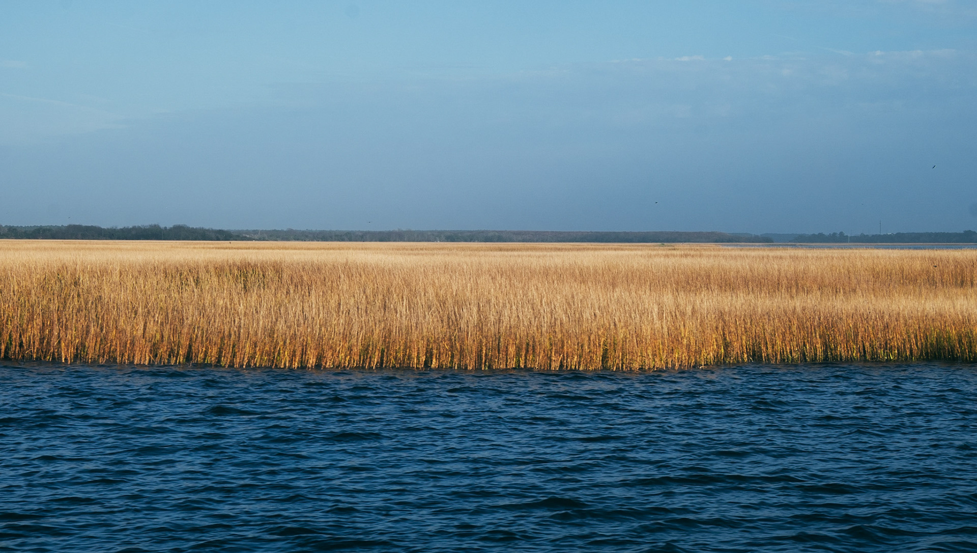 Cumberland Island, Georgia