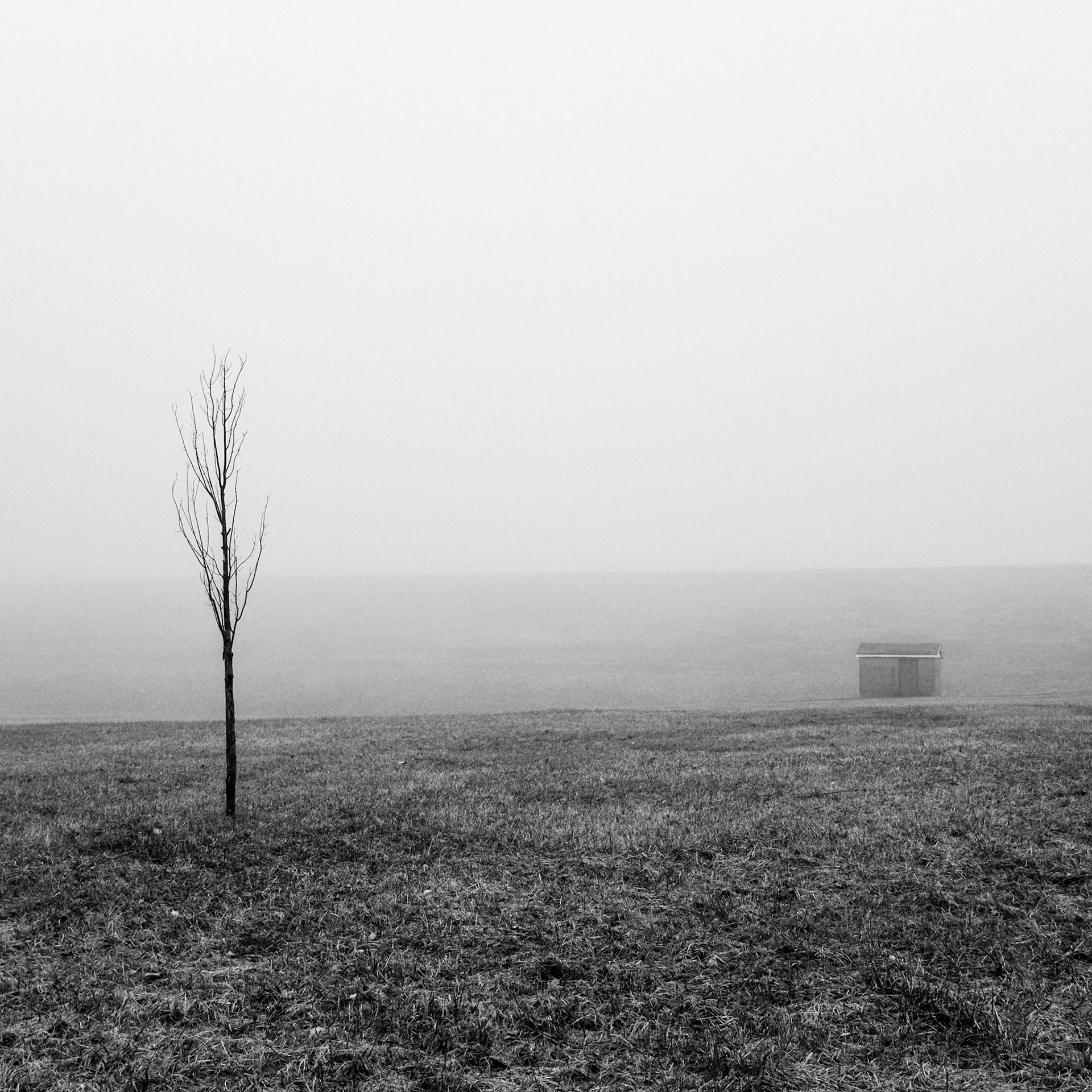 4 // Foggy Morning // Series 2