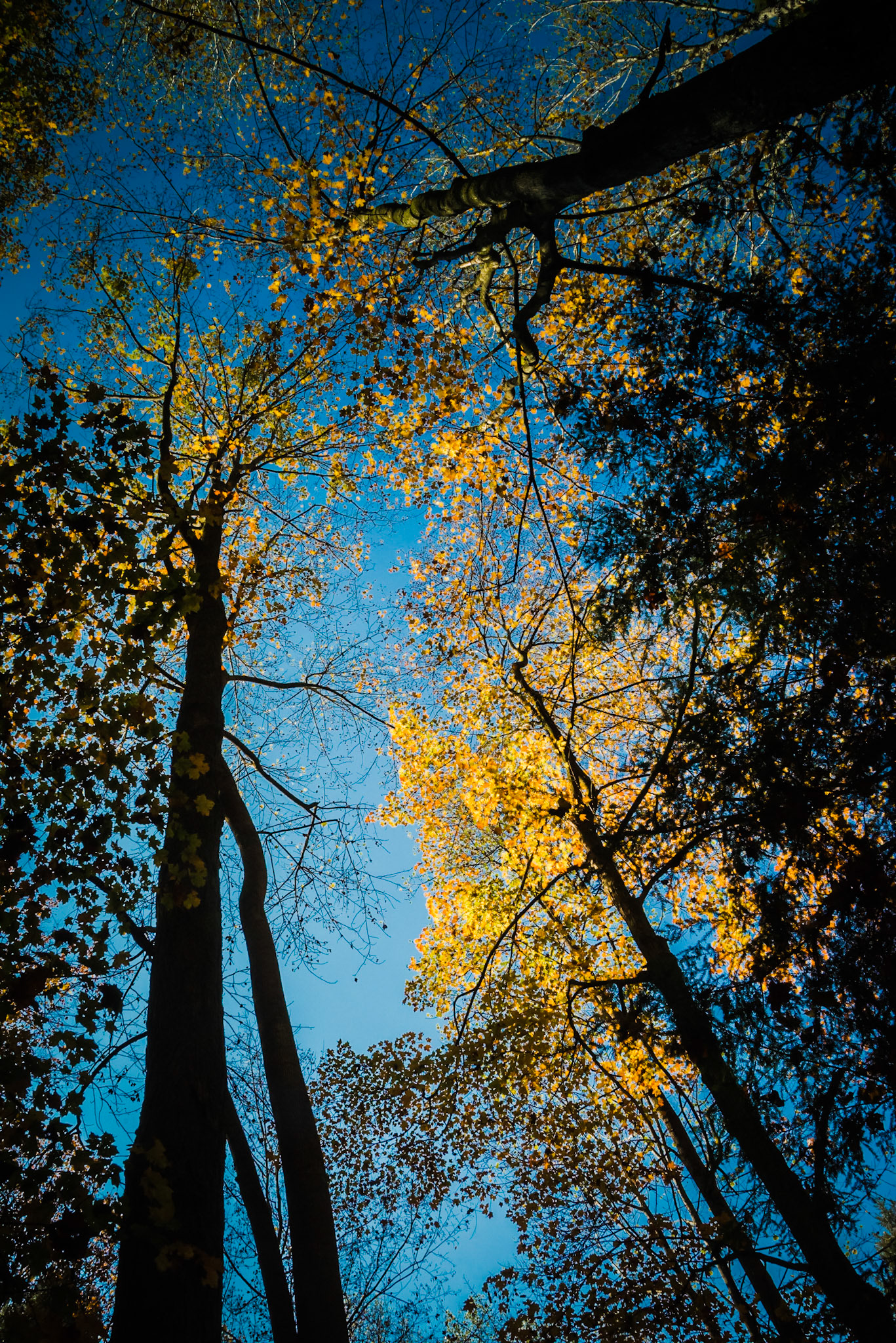 Hocking Hills &amp; Lake Hope -- October, 2013