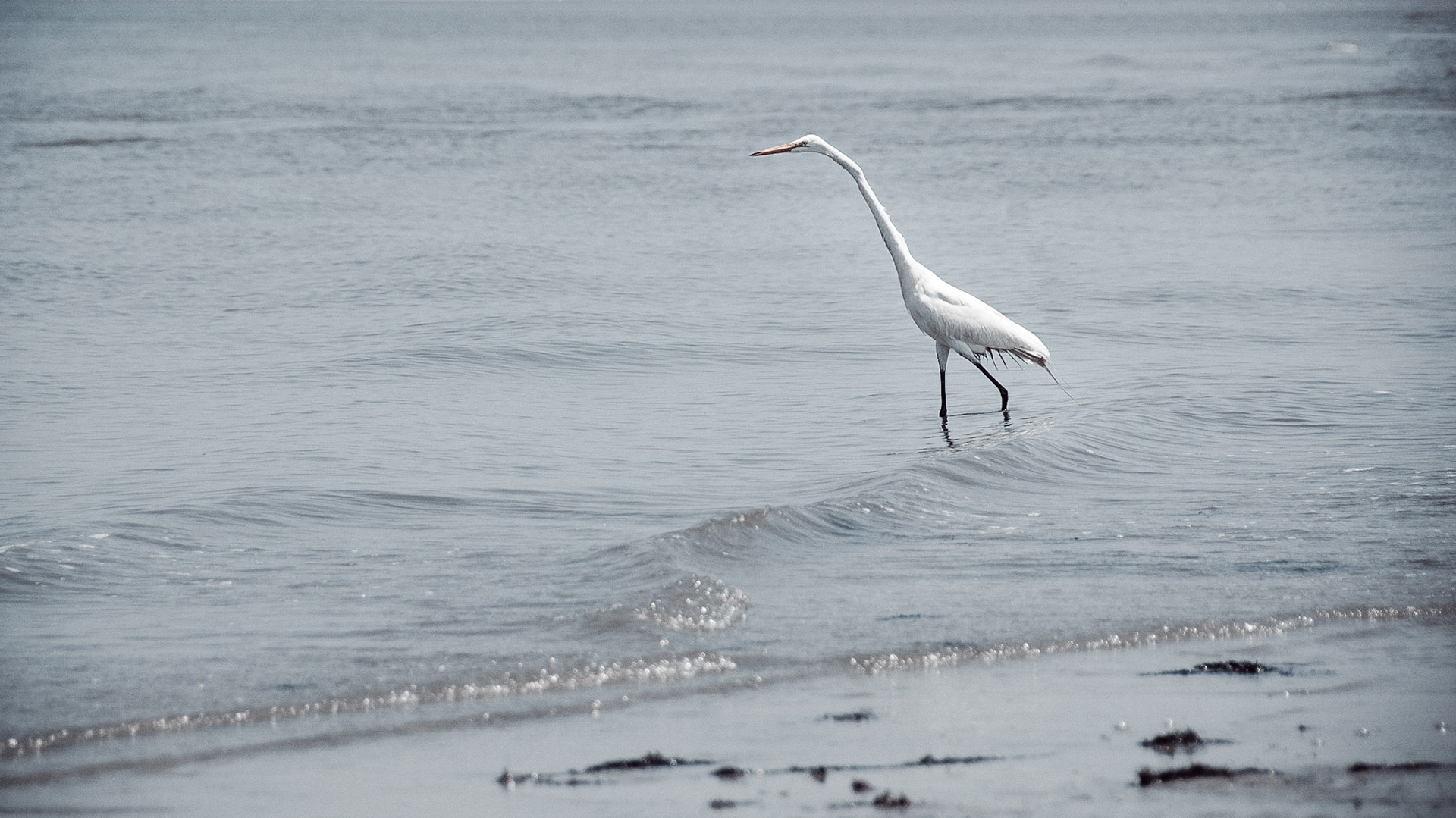 Hilton Head Island, South Carolina