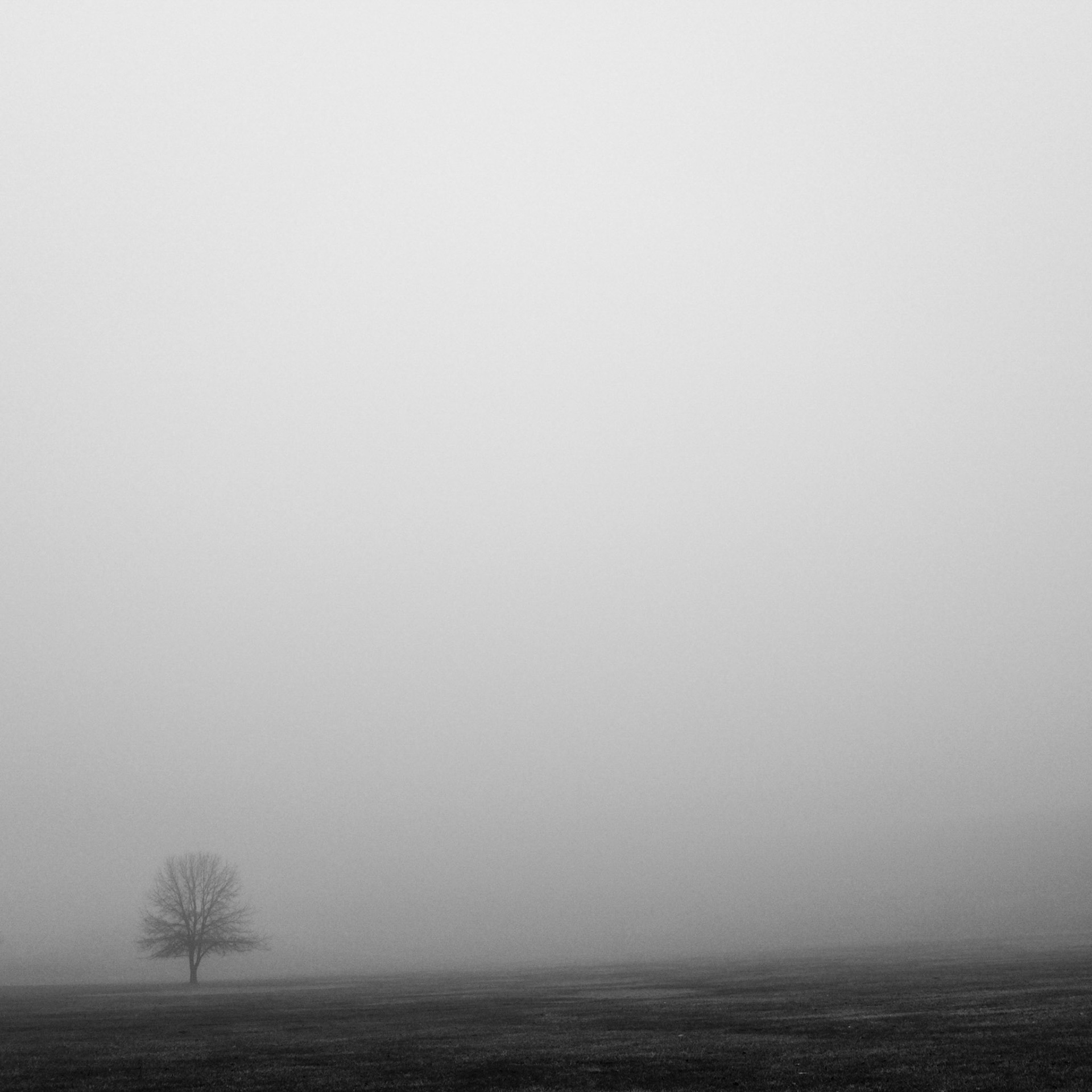 2 // Foggy Morning // Series 3