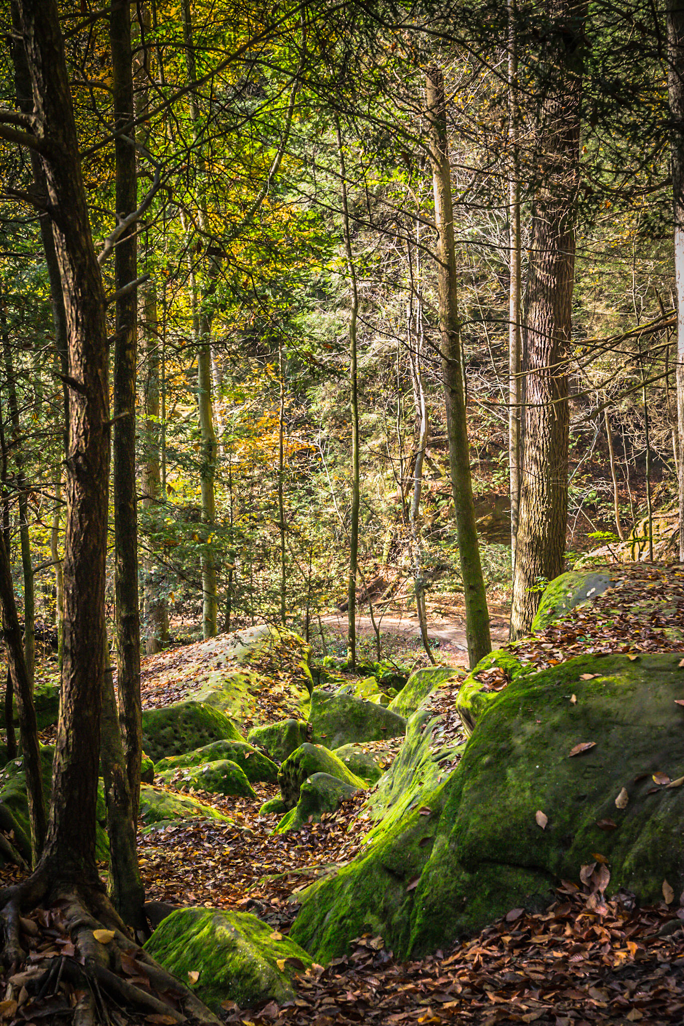 Hocking Hills &amp; Lake Hope -- October, 2013
