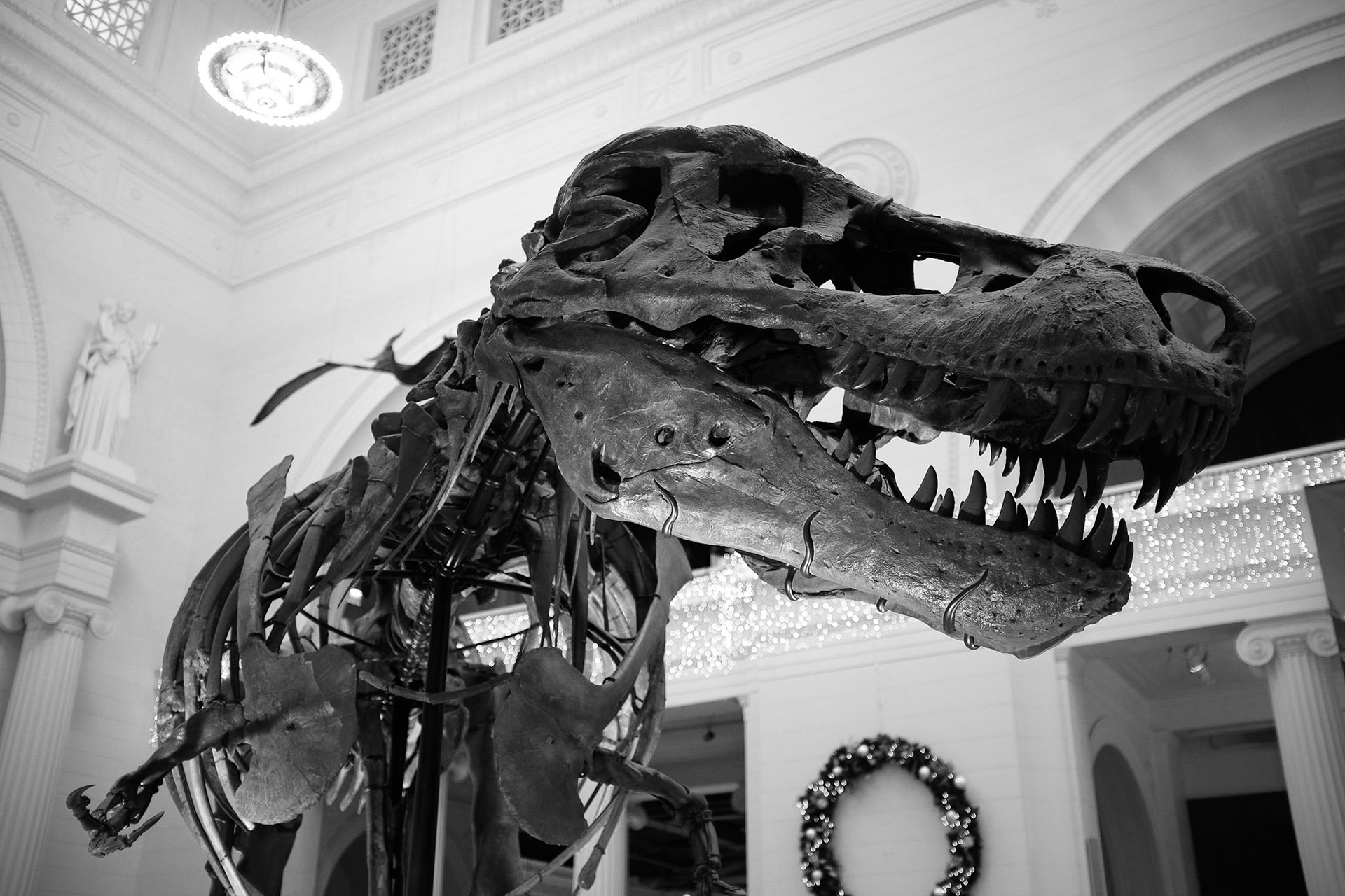 Field Museum, Chicago