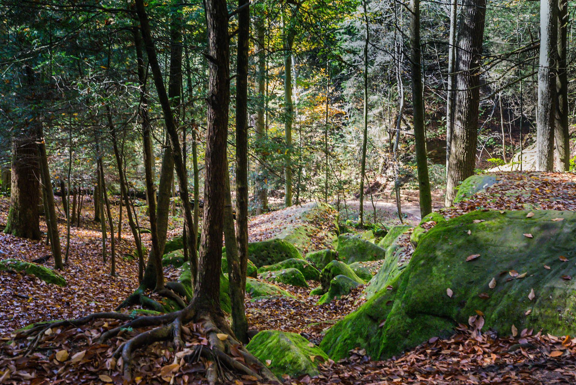 Hocking Hills &amp; Lake Hope -- October, 2013