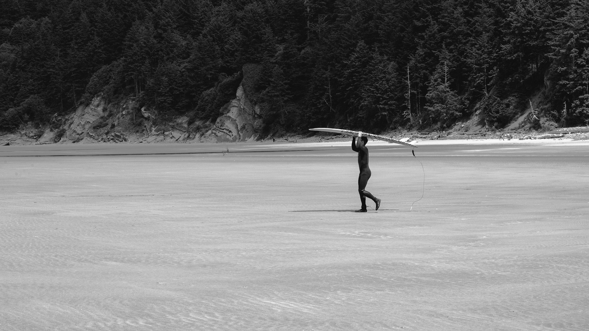 Oswald West, Oregon Coast