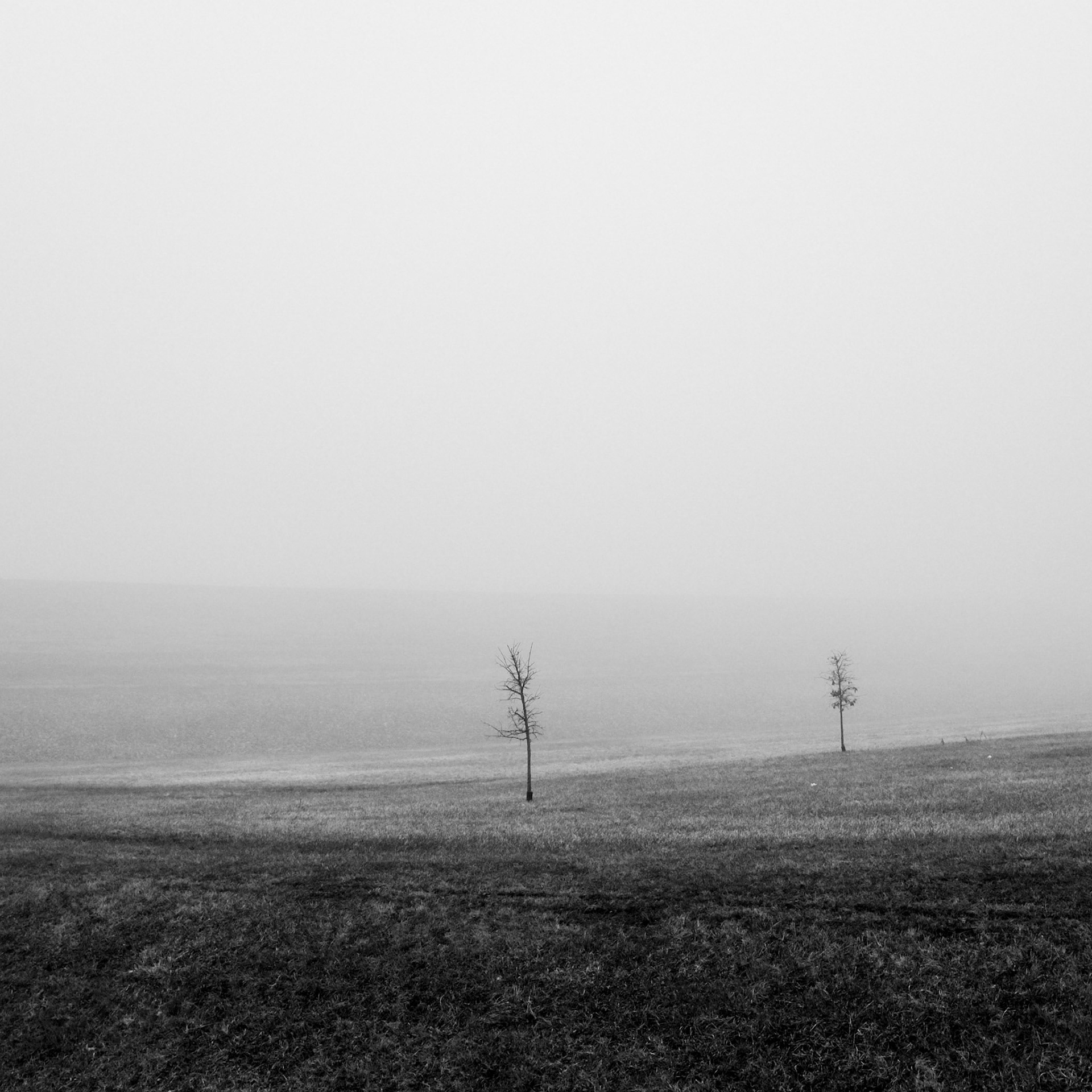 3 // Foggy Morning // Series 2