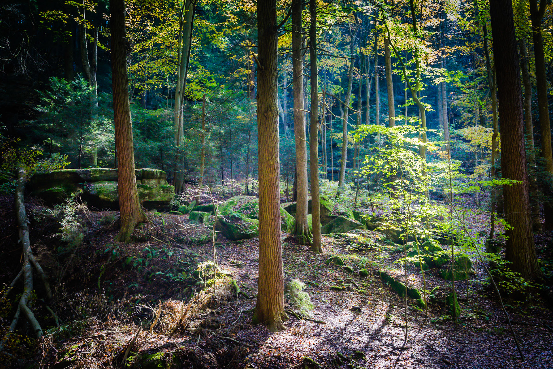 Hocking Hills &amp; Lake Hope -- October, 2013