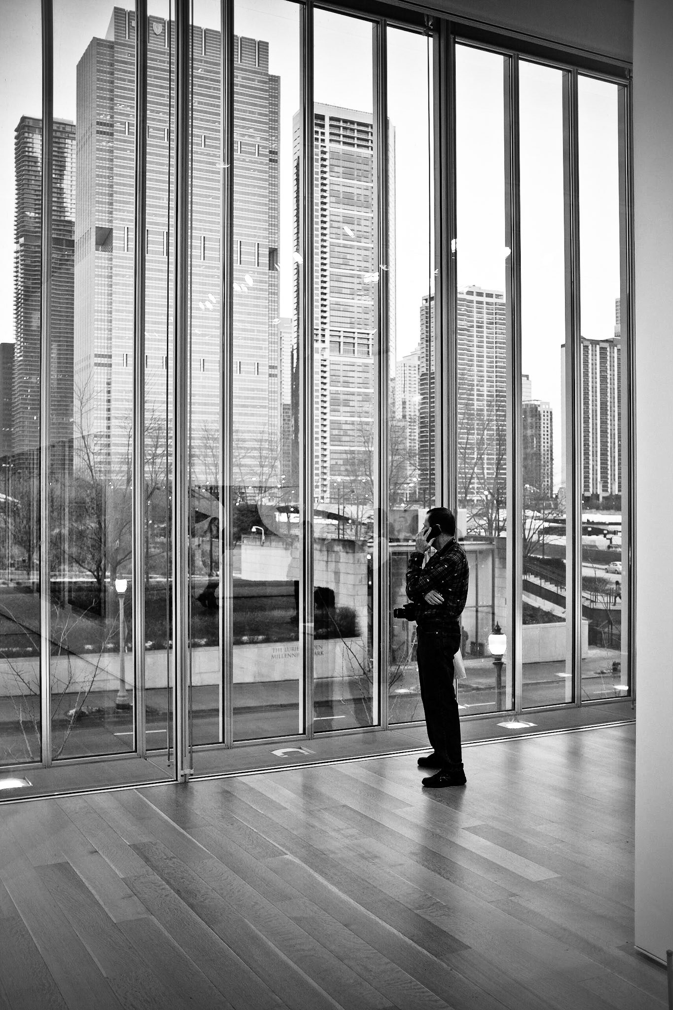 The Art Institute of Chicago