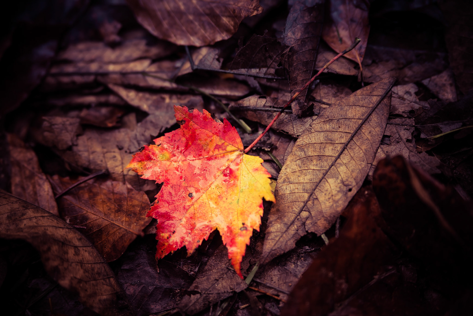 Hocking Hills &amp; Lake Hope -- October, 2013
