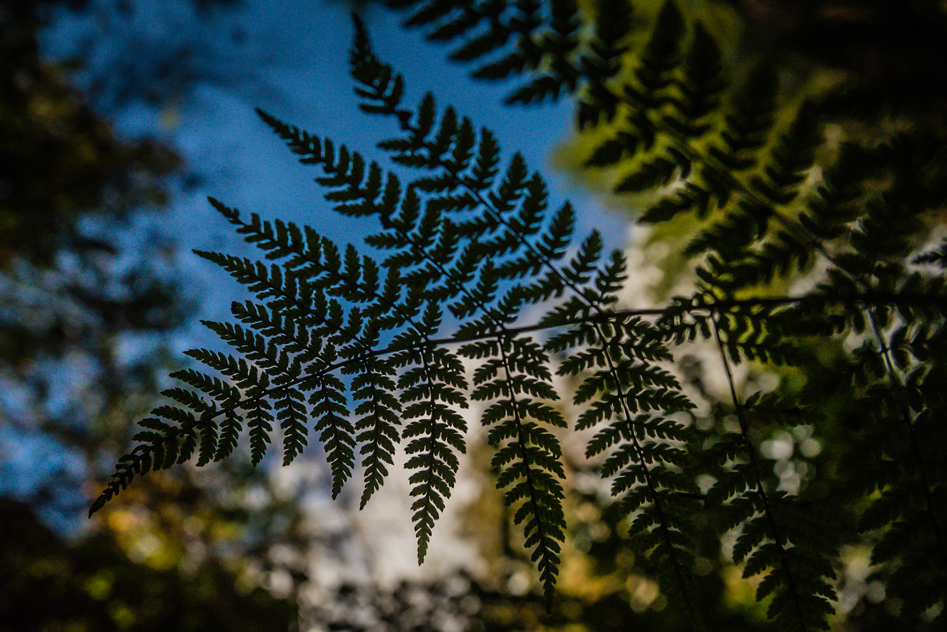 Hocking Hills &amp; Lake Hope -- October, 2013