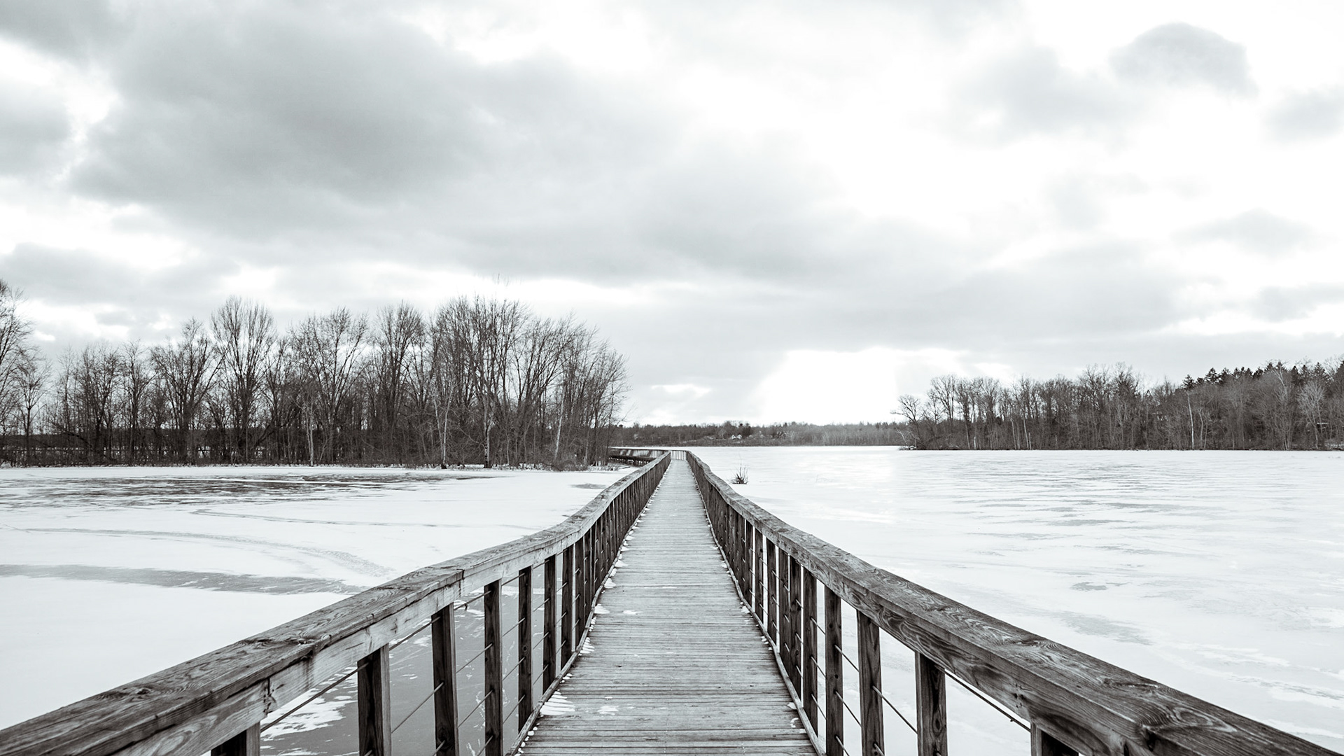 Winter at Hoover Mudflats // 1